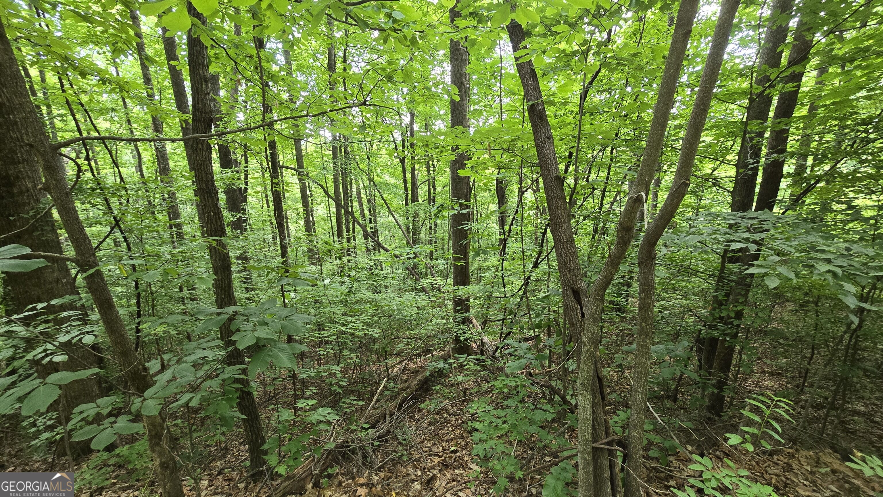 Lot 30 High Meadows Property Photo 9