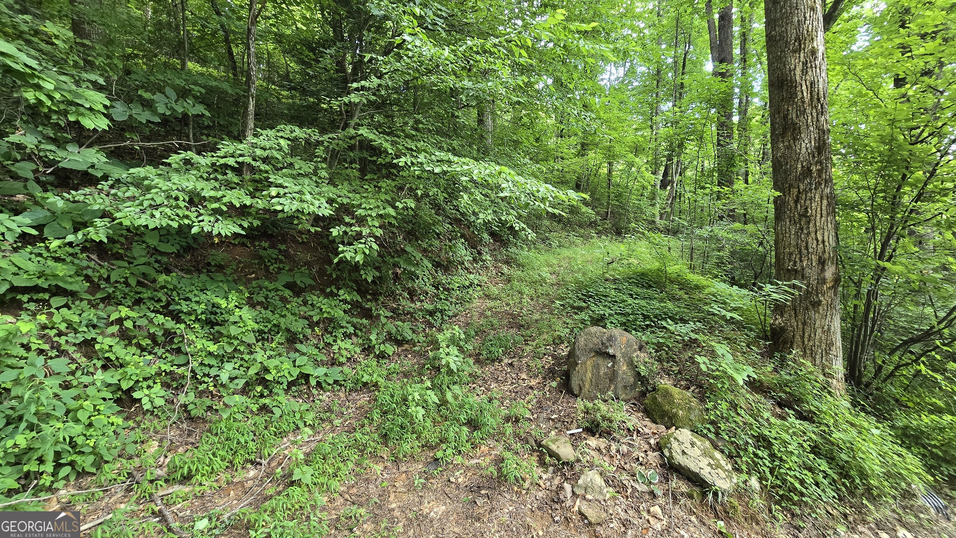 Lot 30 High Meadows Property Photo 10