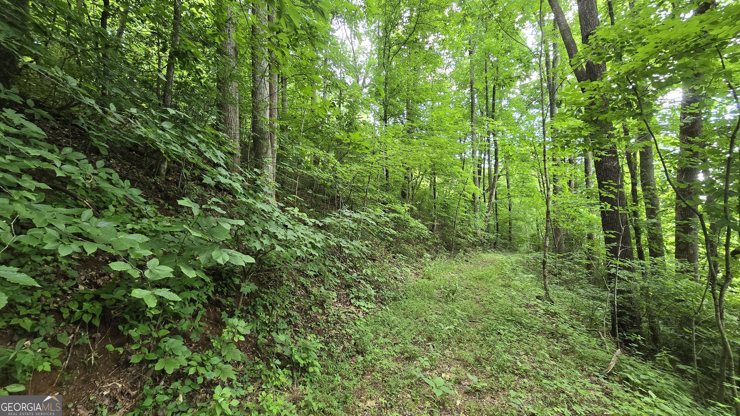Lot 30 High Meadows Property Photo 11