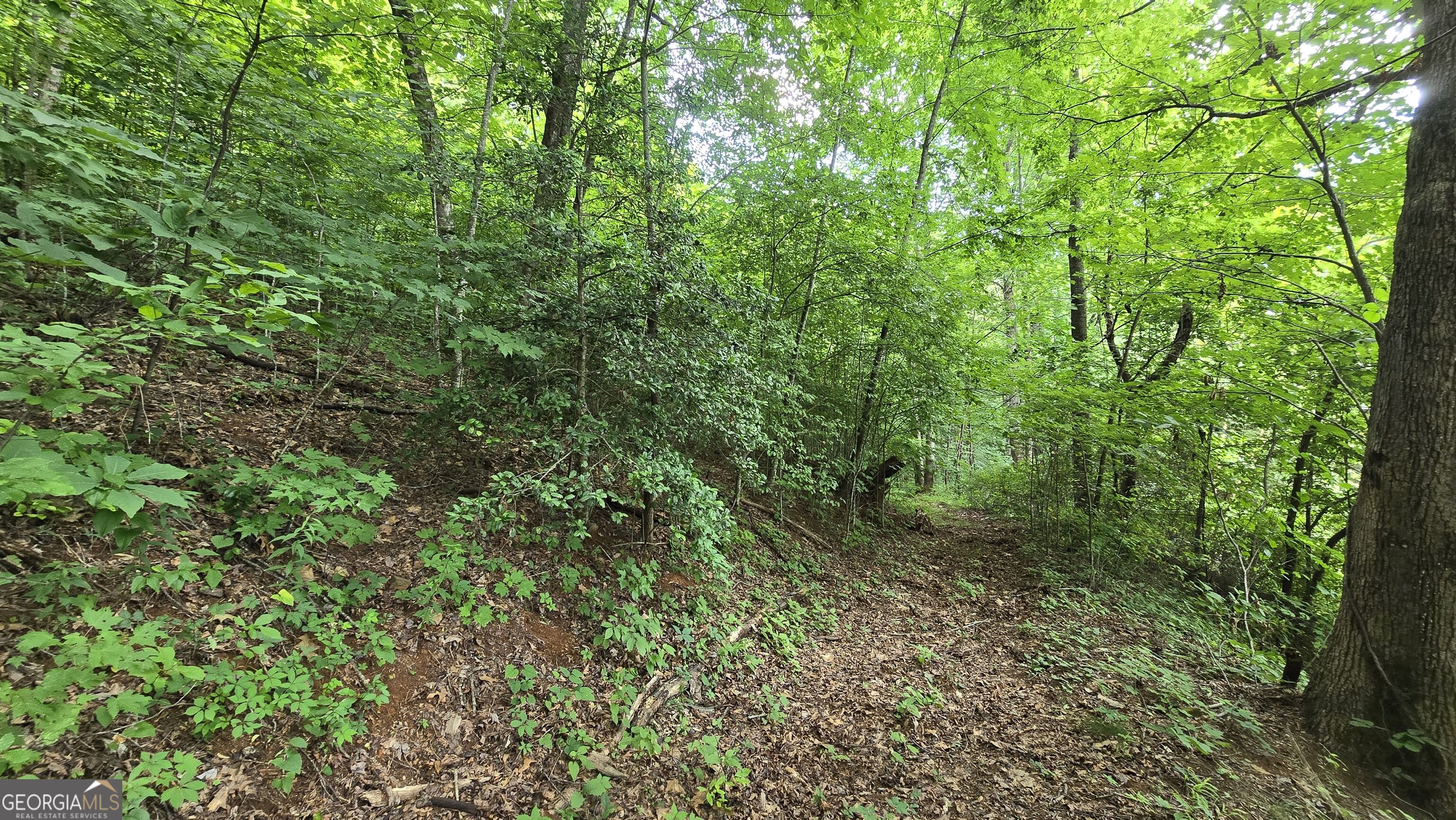 Lot 30 High Meadows Property Photo 12