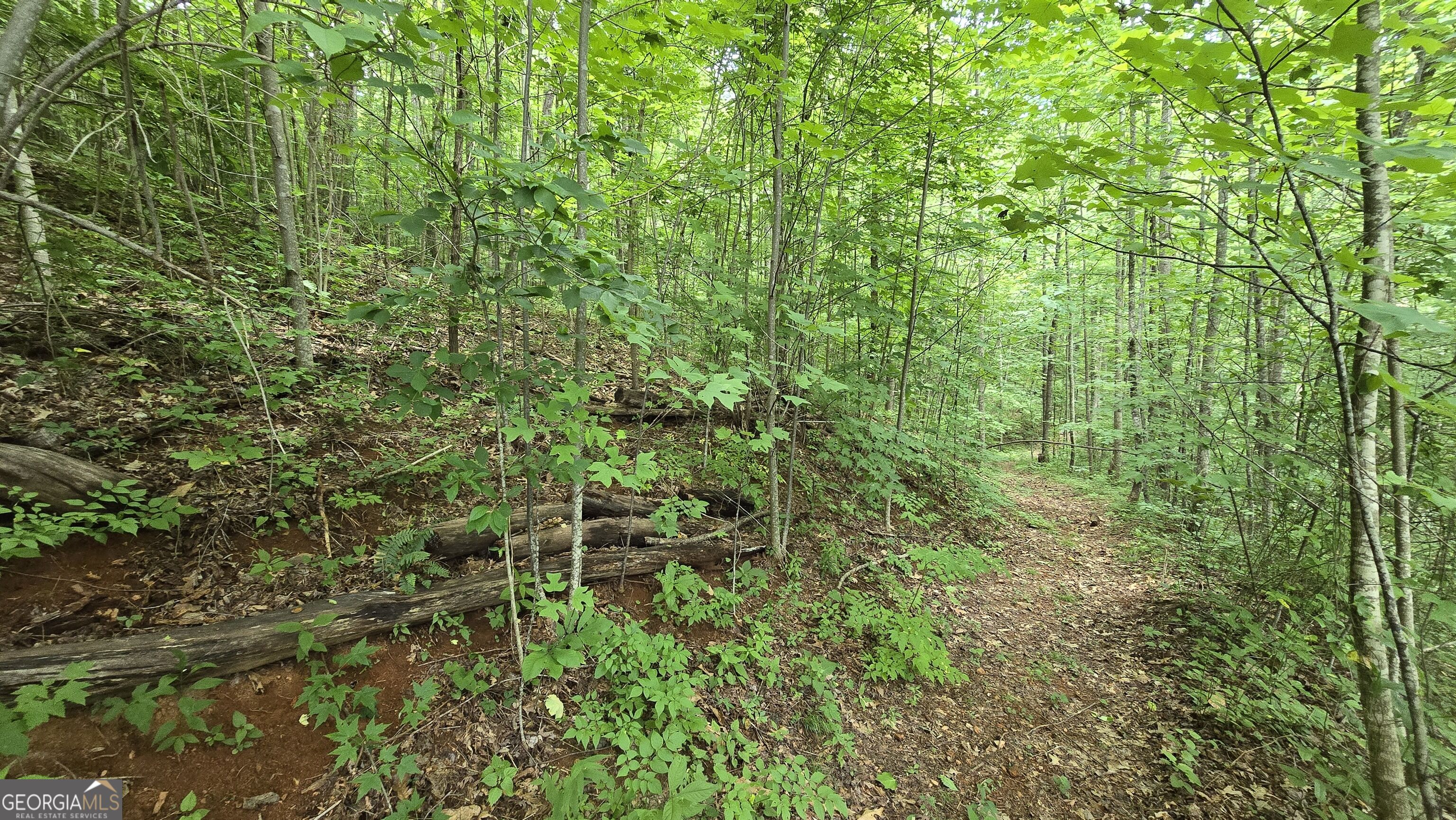 Lot 30 High Meadows Property Photo 13