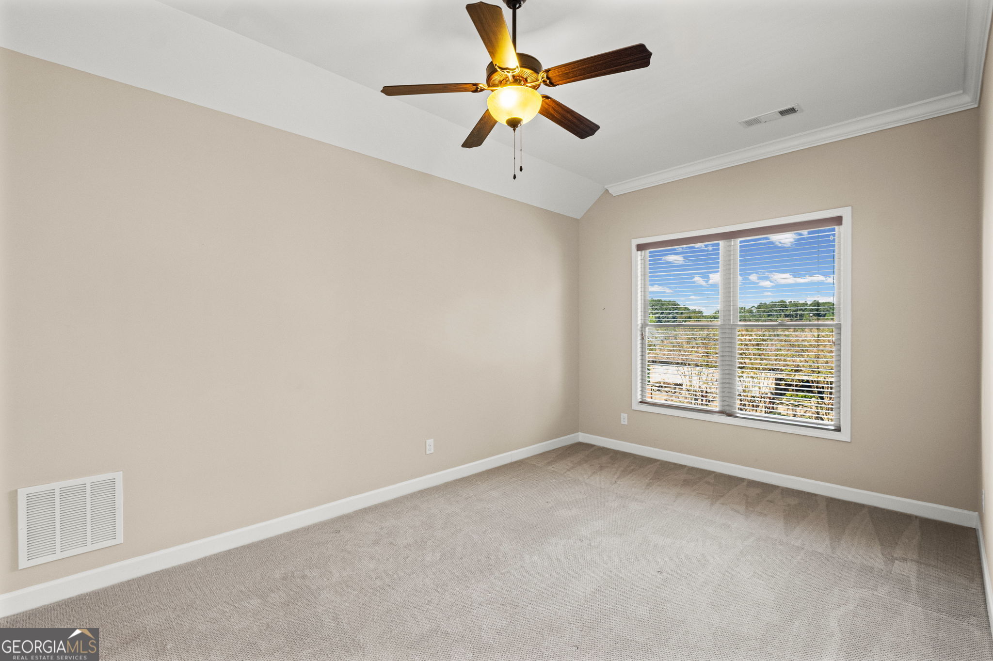 173 Cadence Trail Property Photo 37