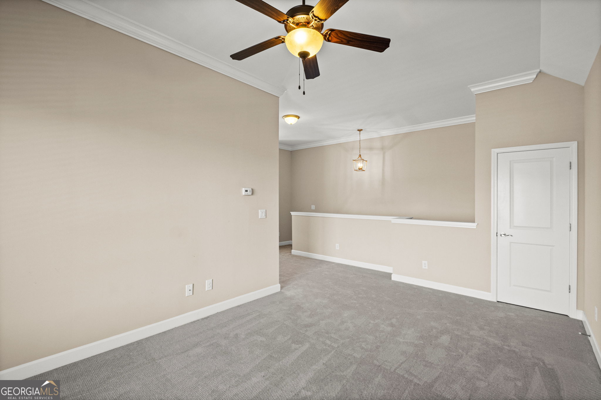 173 Cadence Trail Property Photo 38