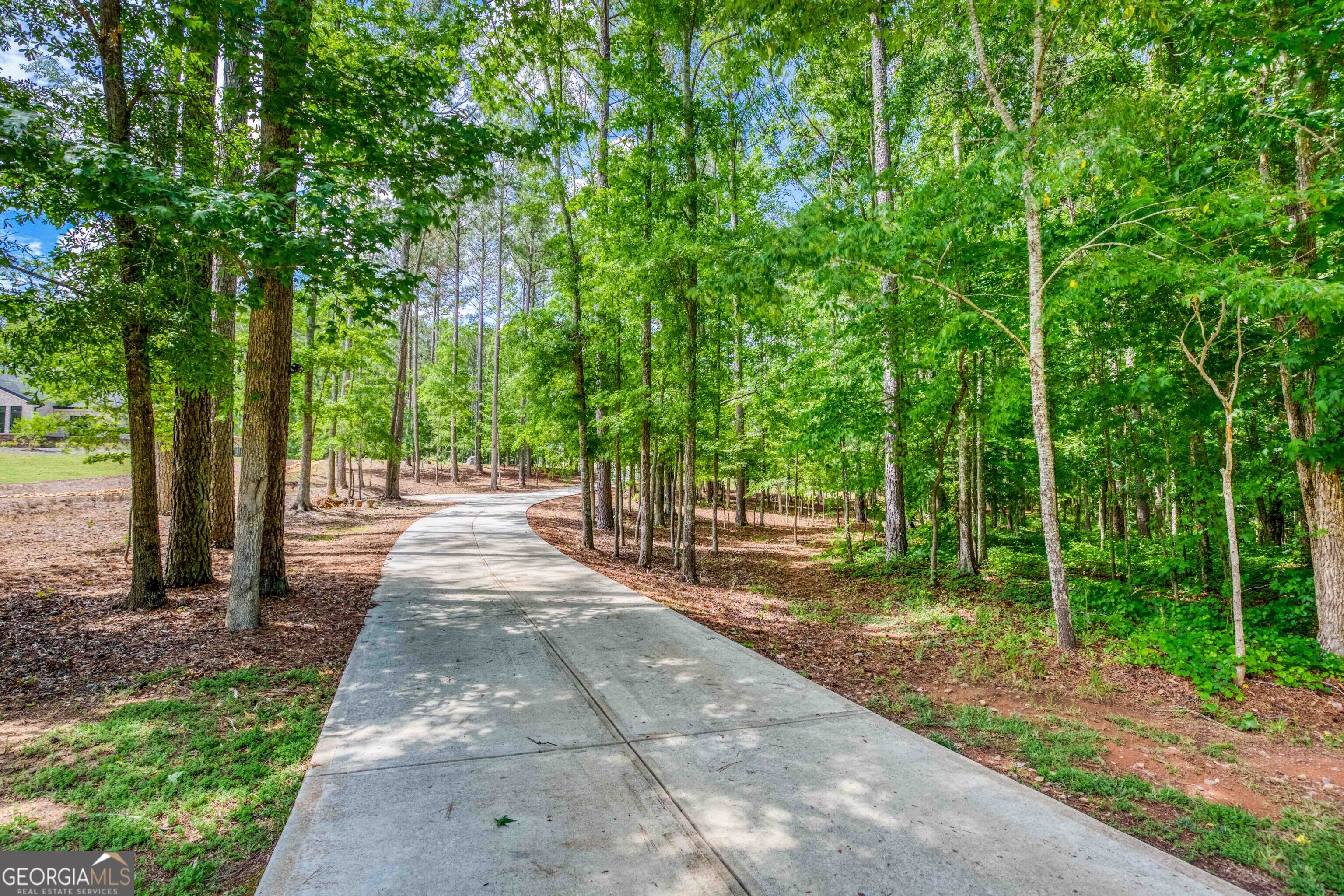 2529 Shockley Springs Drive Property Photo 2