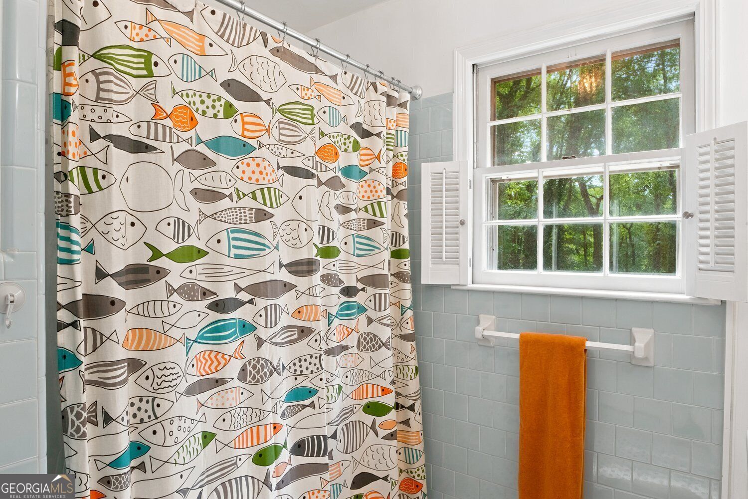 1007 Us-76 Property Photo 39