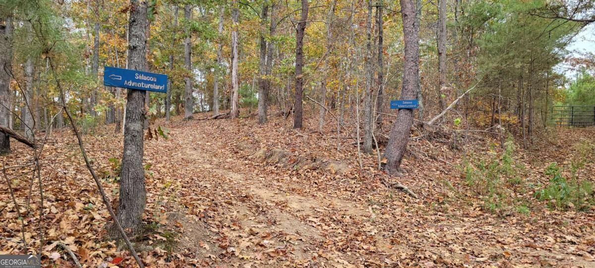 6794 Salacoa Road Property Photo 10