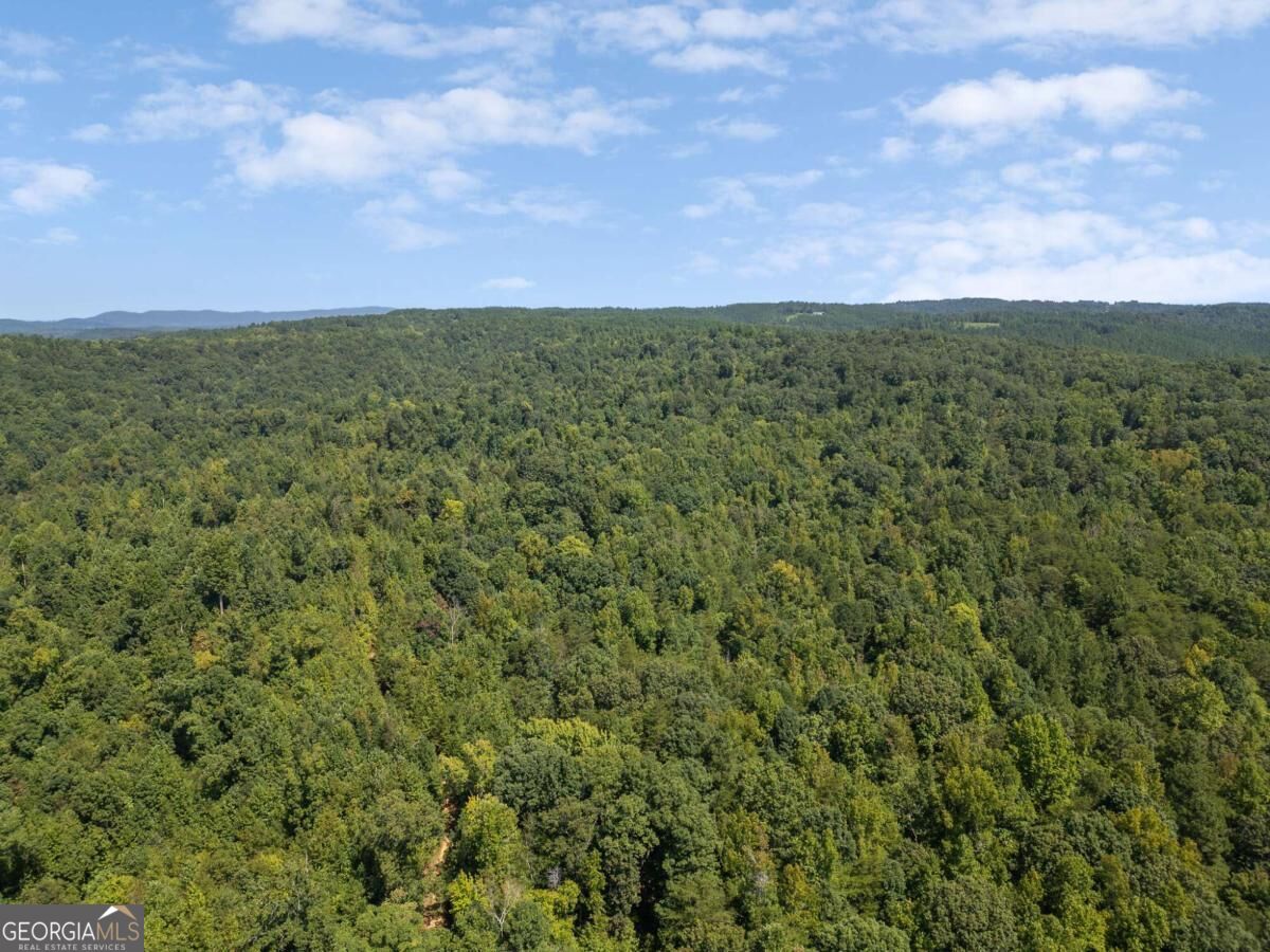 6794 Salacoa Road Property Photo 13