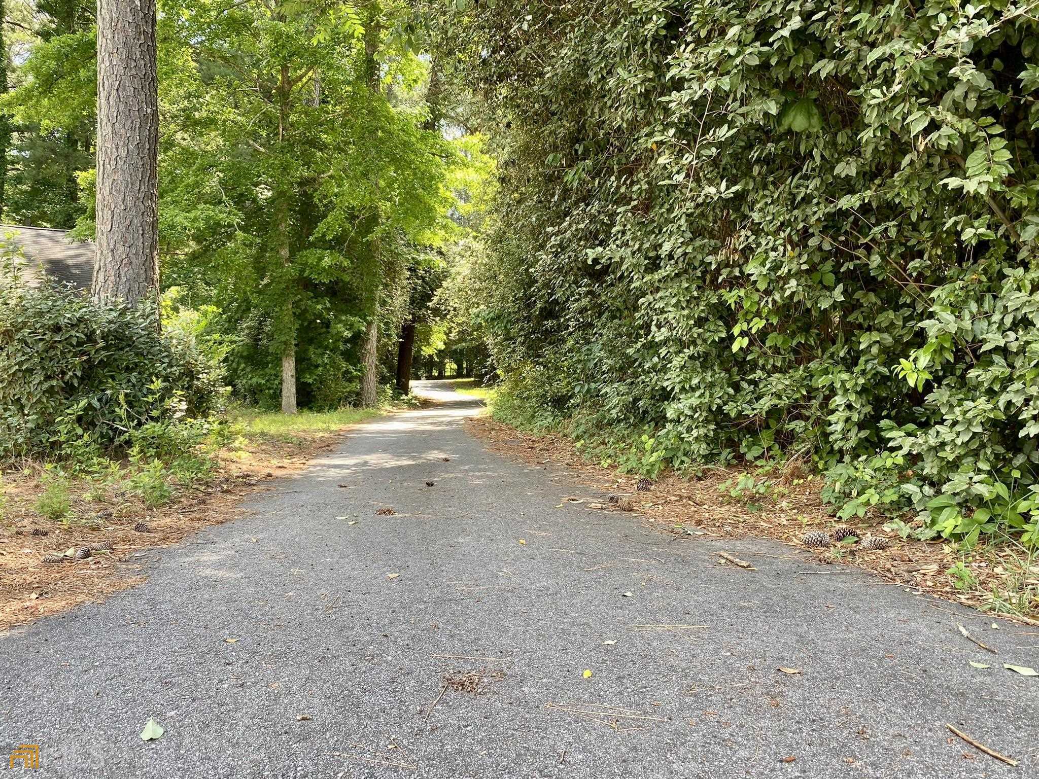305 Deergrass Trail Property Photo 18