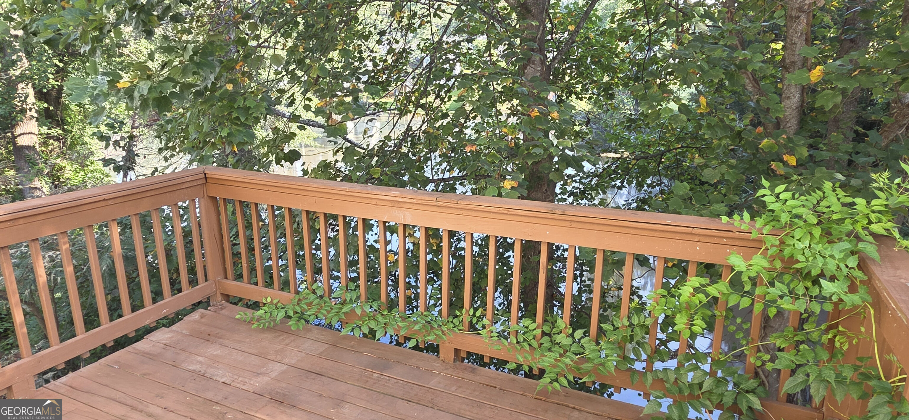 6260 Phillips Lake Way Property Photo 13