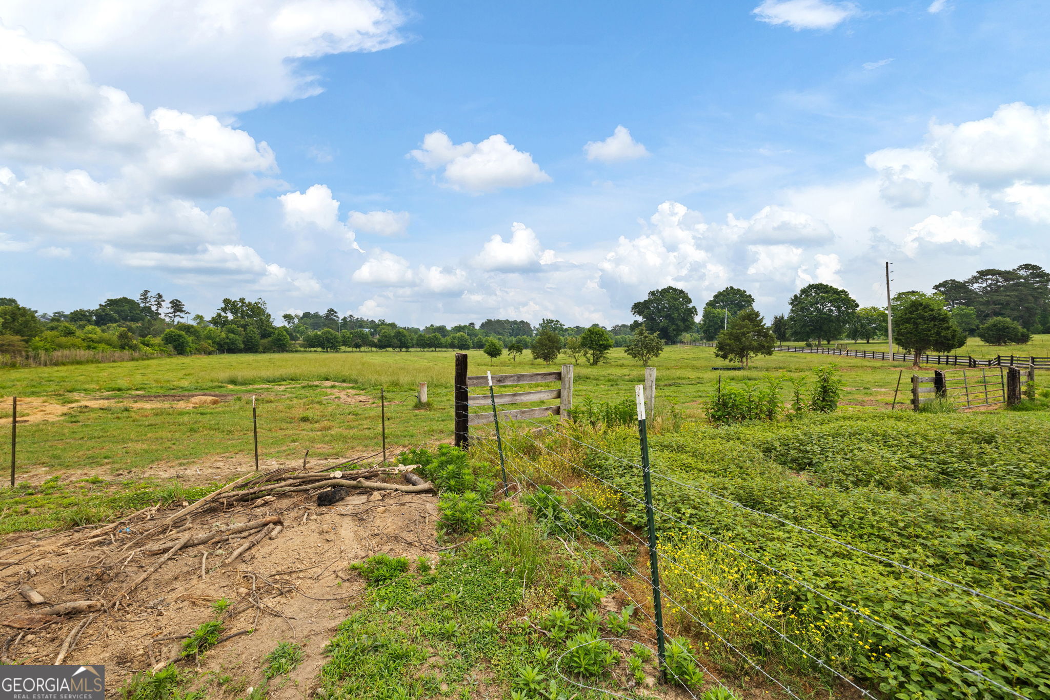 215 Erwin Road Property Photo 48