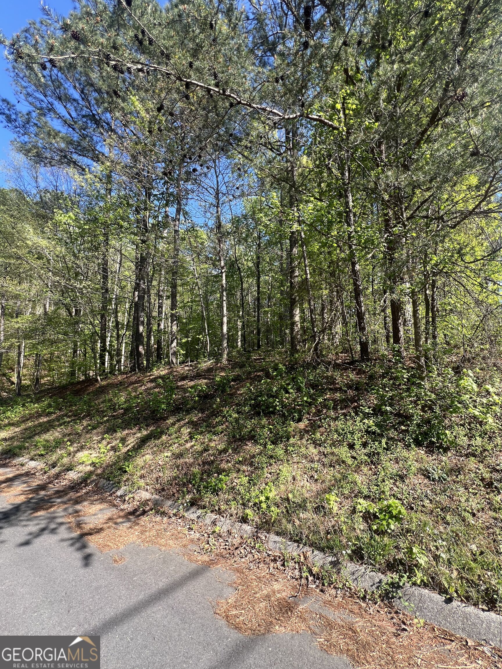 Lot #4 Battle Ridge Drive Property Photo 2