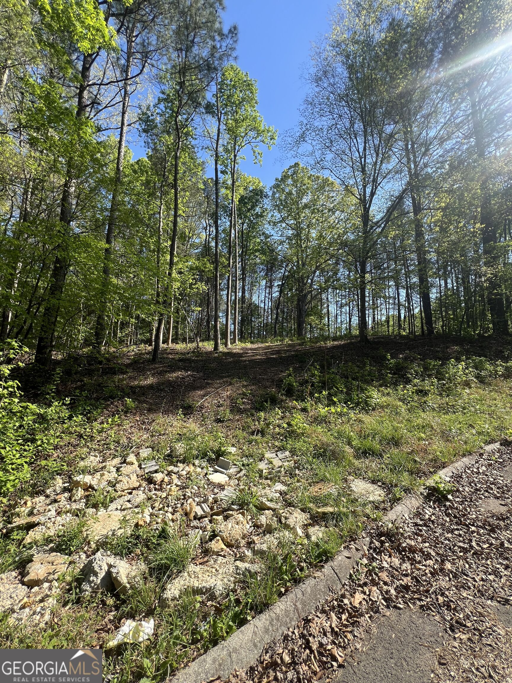 Lot #4 Battle Ridge Drive Property Photo 3