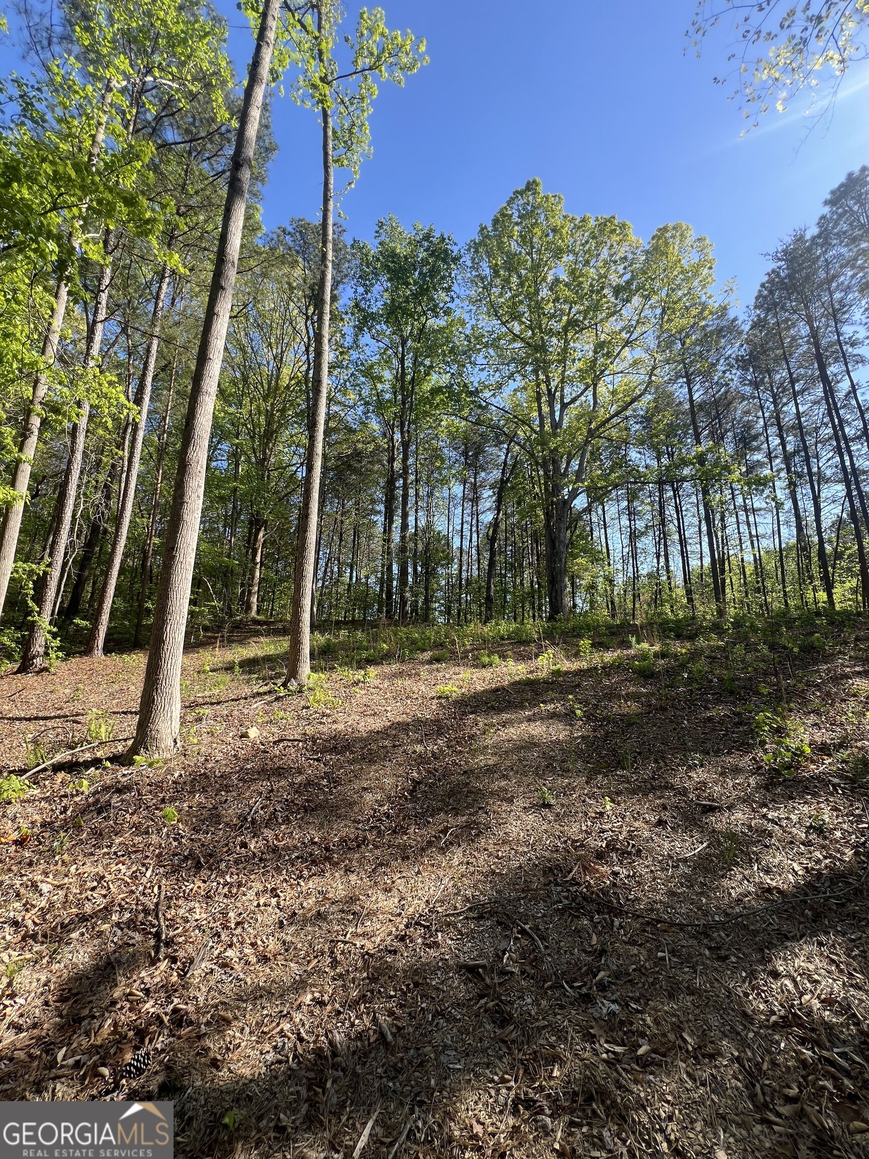 Lot #4 Battle Ridge Drive Property Photo 4