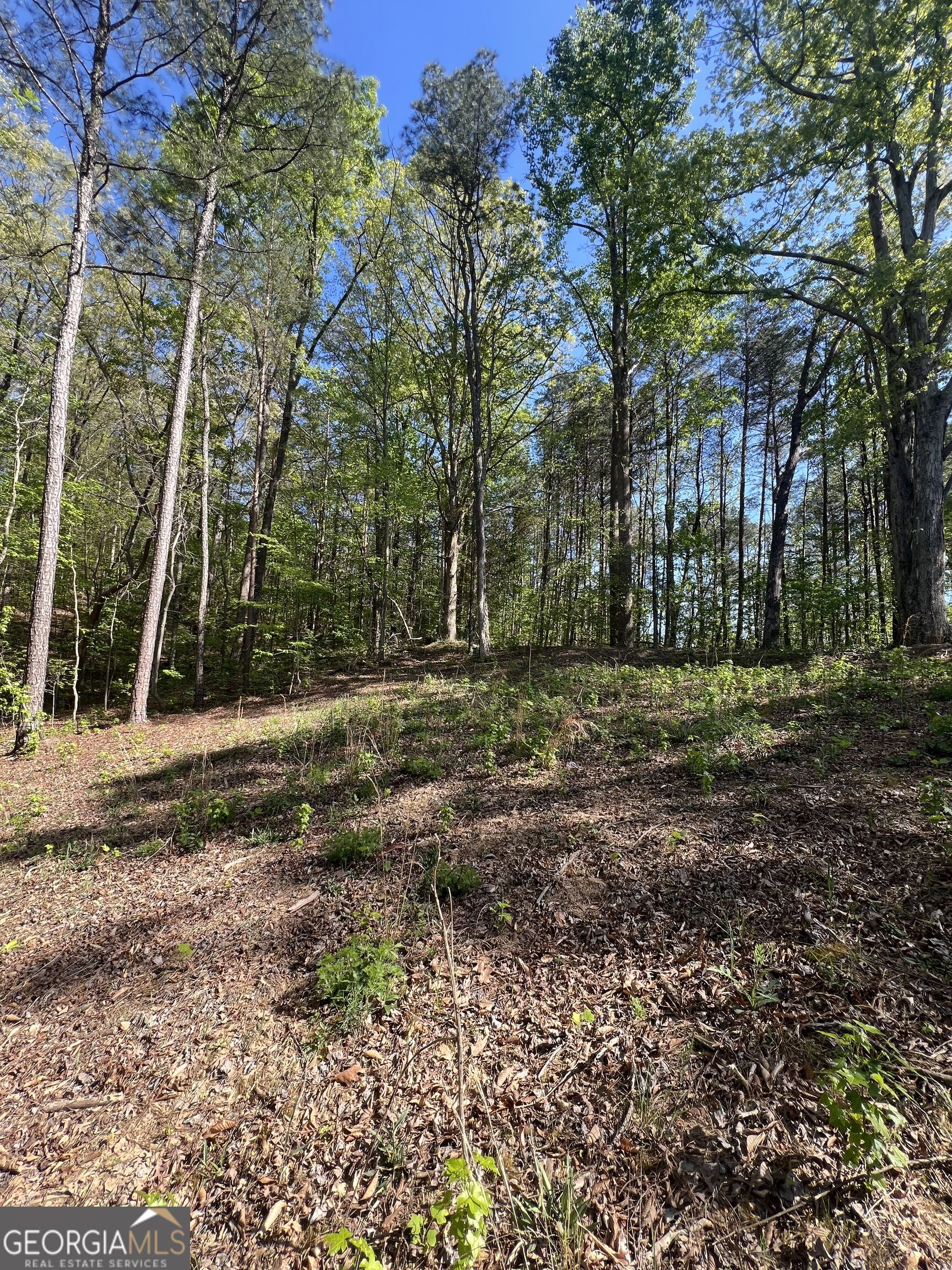 Lot #4 Battle Ridge Drive Property Photo 5