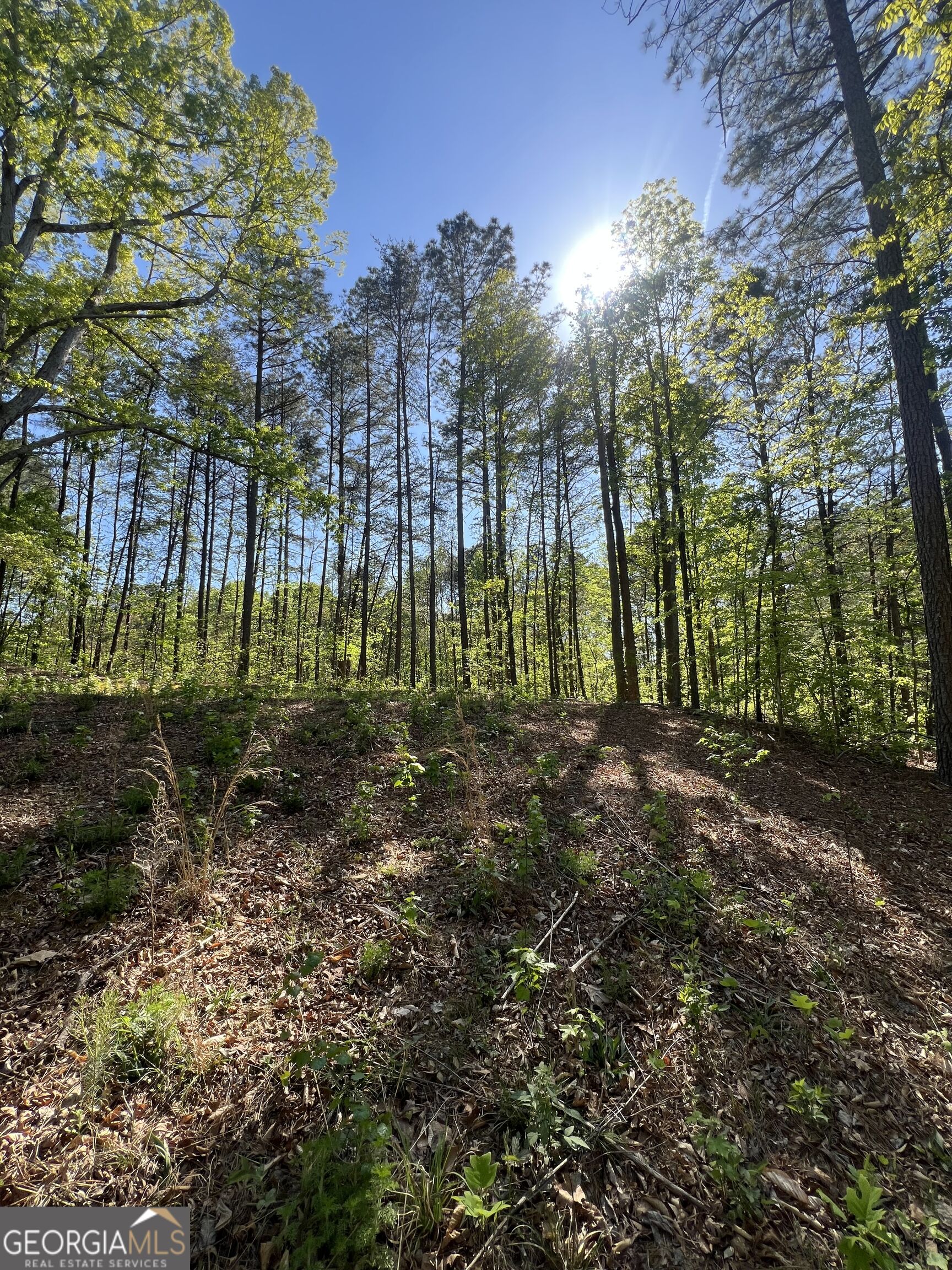 Lot #4 Battle Ridge Drive Property Photo 6