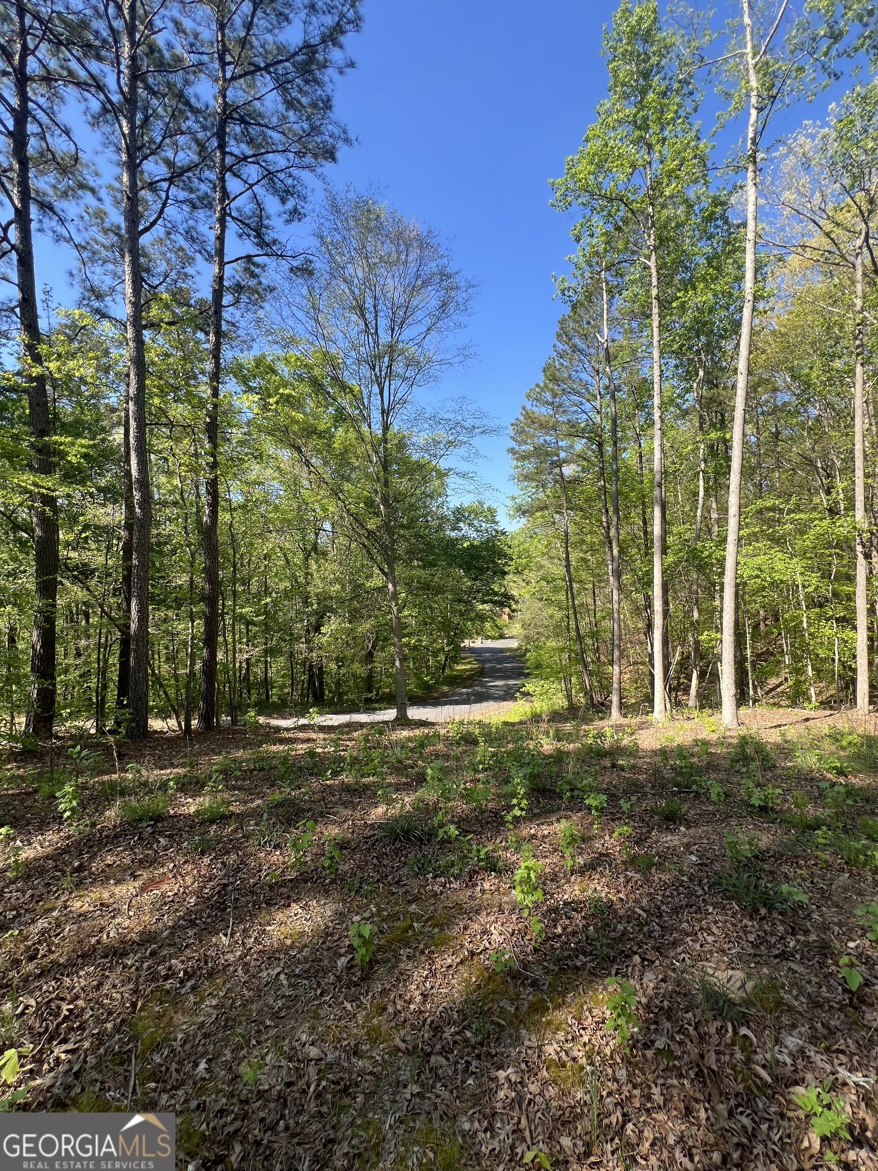 Lot #4 Battle Ridge Drive Property Photo 7