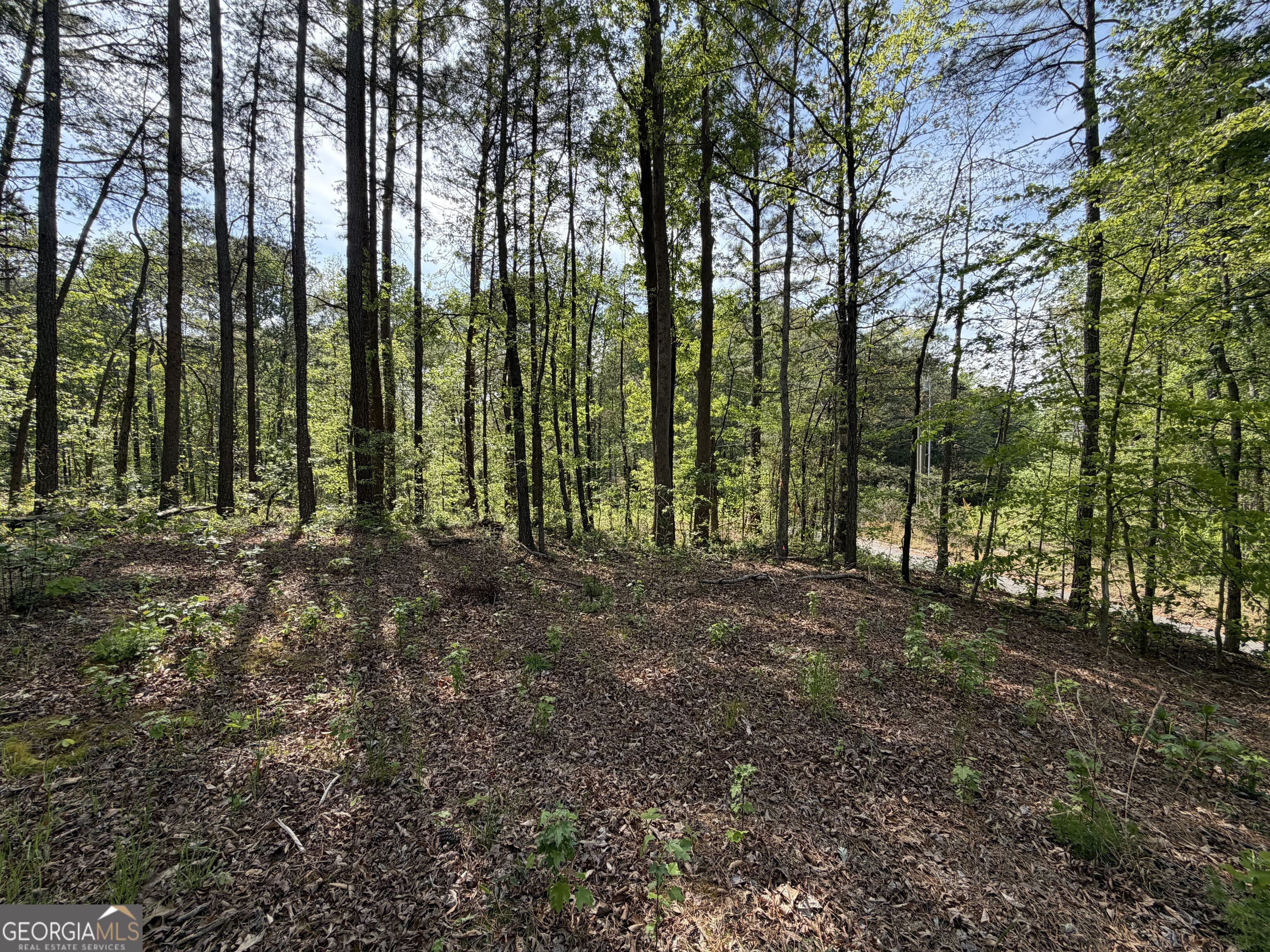 Lot #4 Battle Ridge Drive Property Photo 9