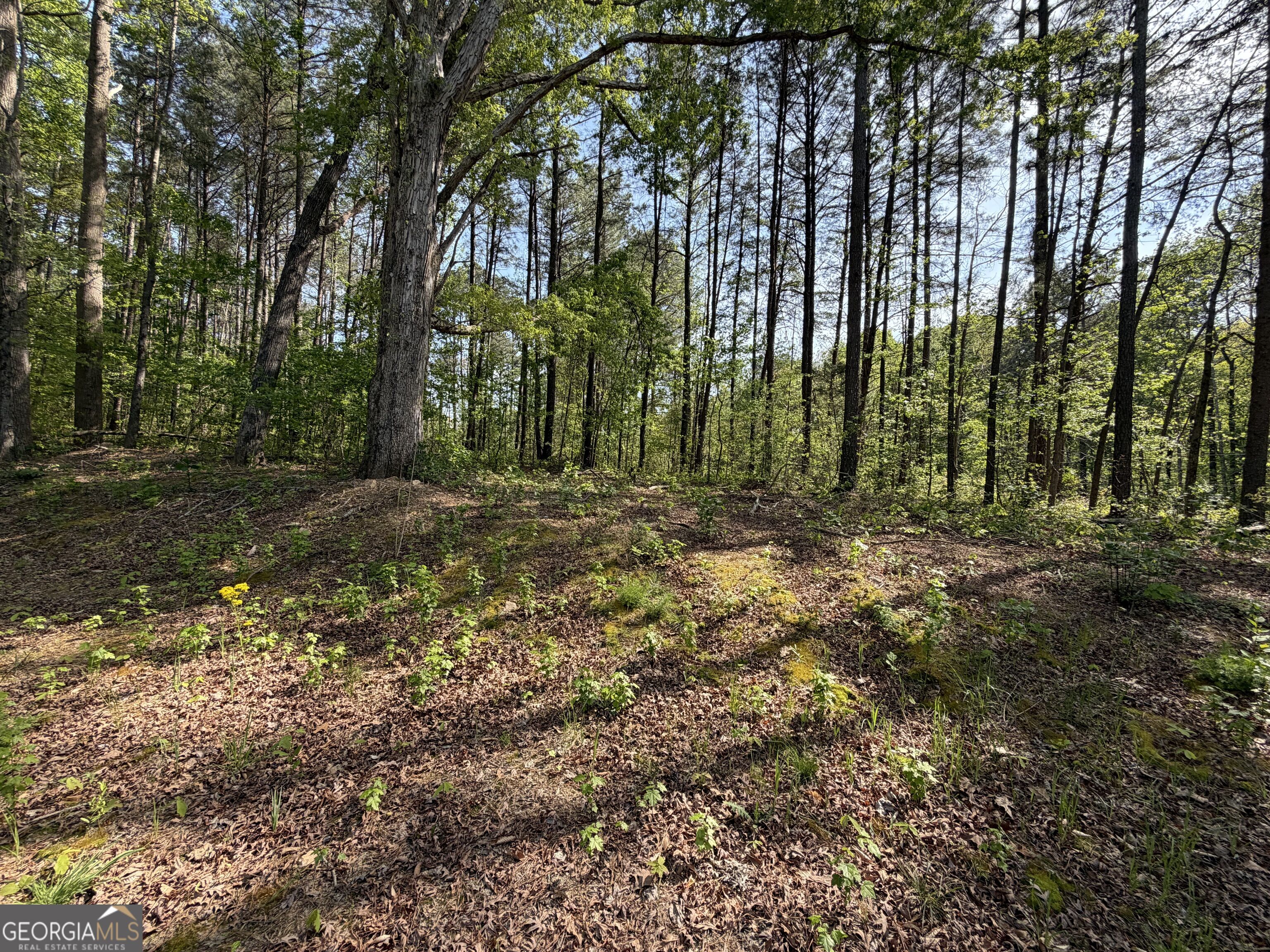 Lot #4 Battle Ridge Drive Property Photo 10
