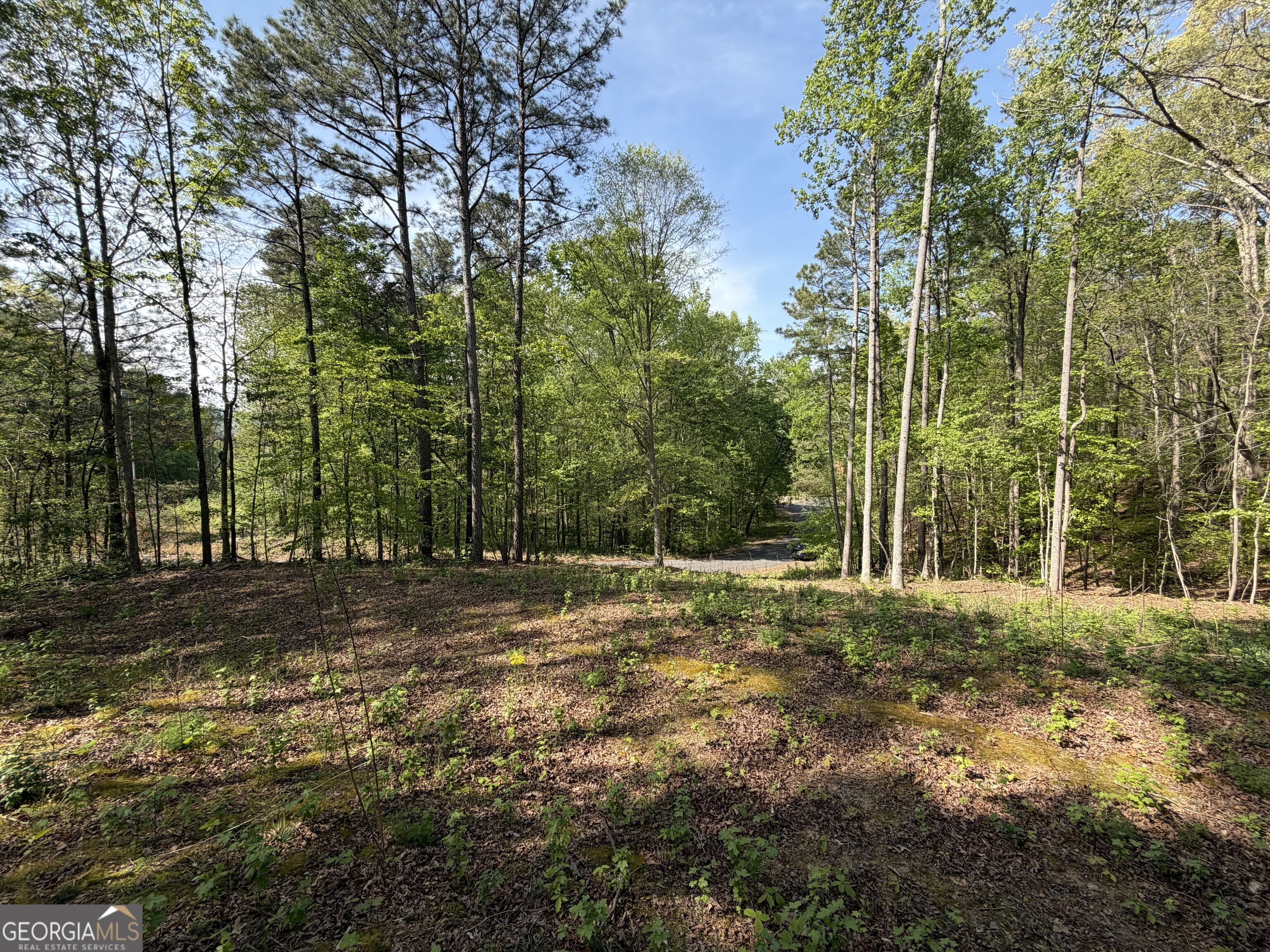 Lot #4 Battle Ridge Drive Property Photo 11