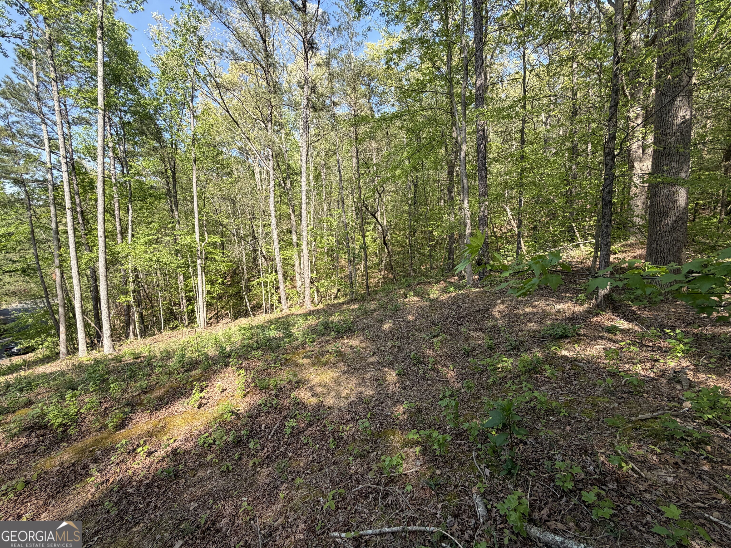 Lot #4 Battle Ridge Drive Property Photo 12