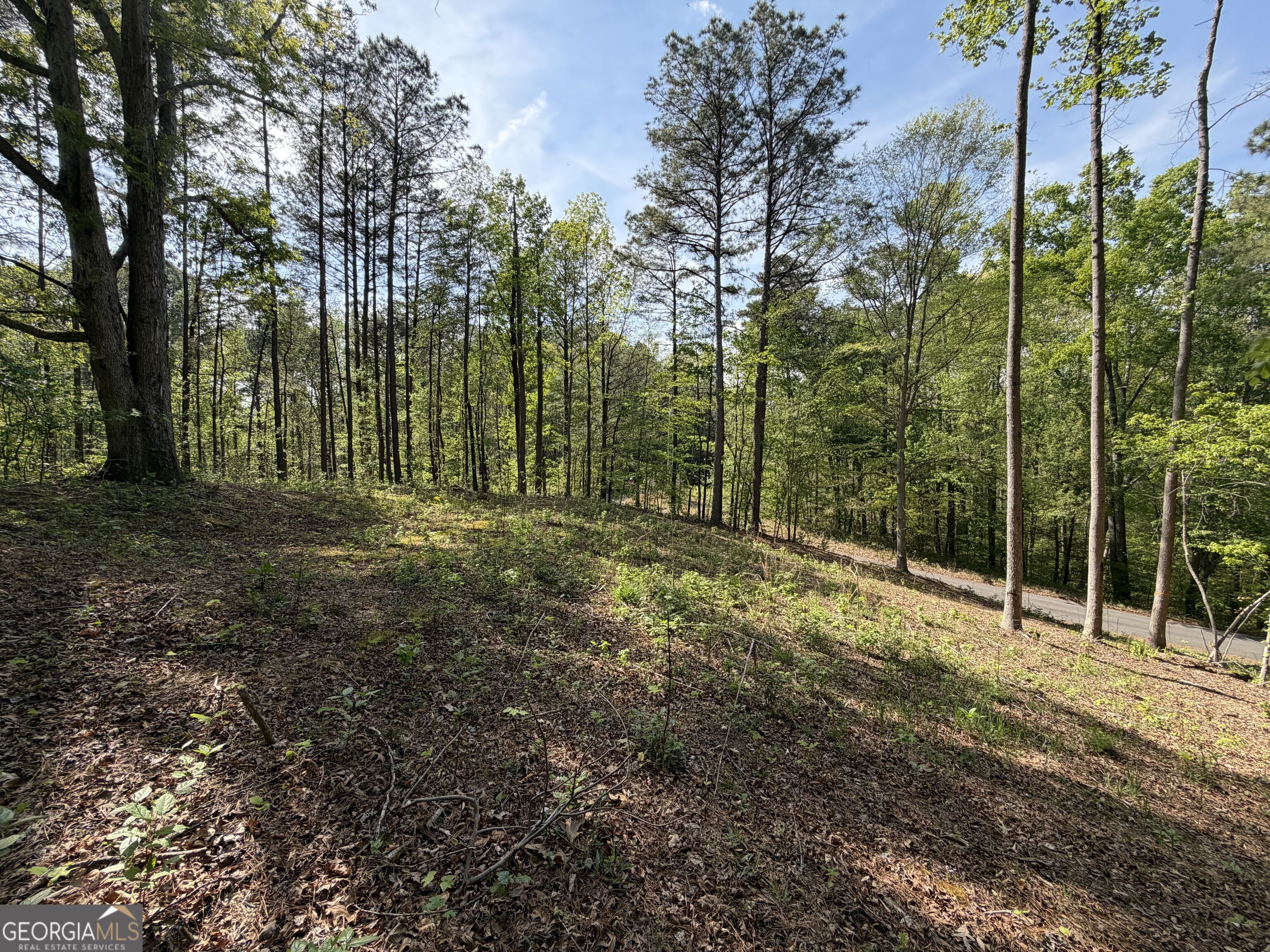Lot #4 Battle Ridge Drive Property Photo 13