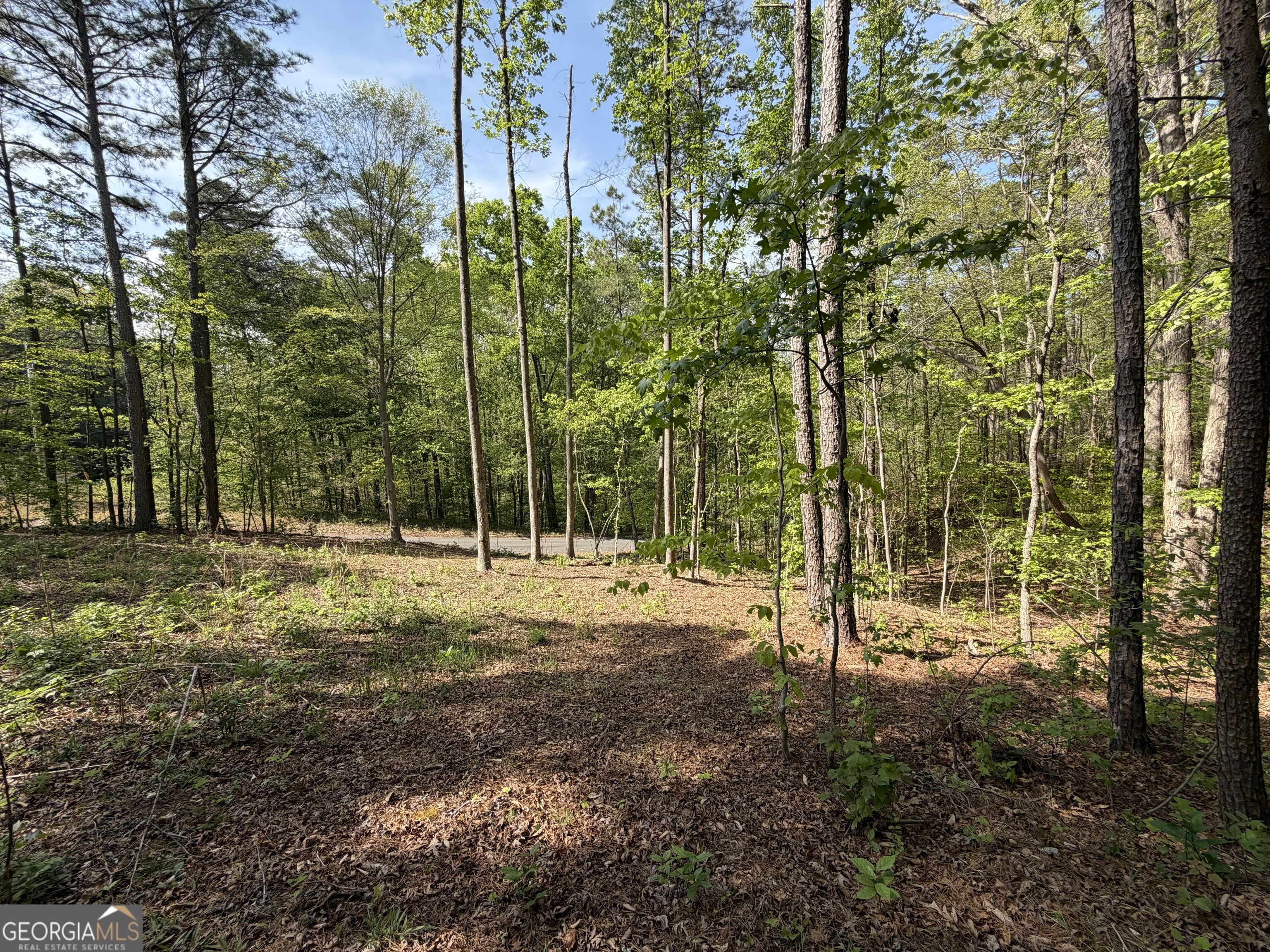Lot #4 Battle Ridge Drive Property Photo 15
