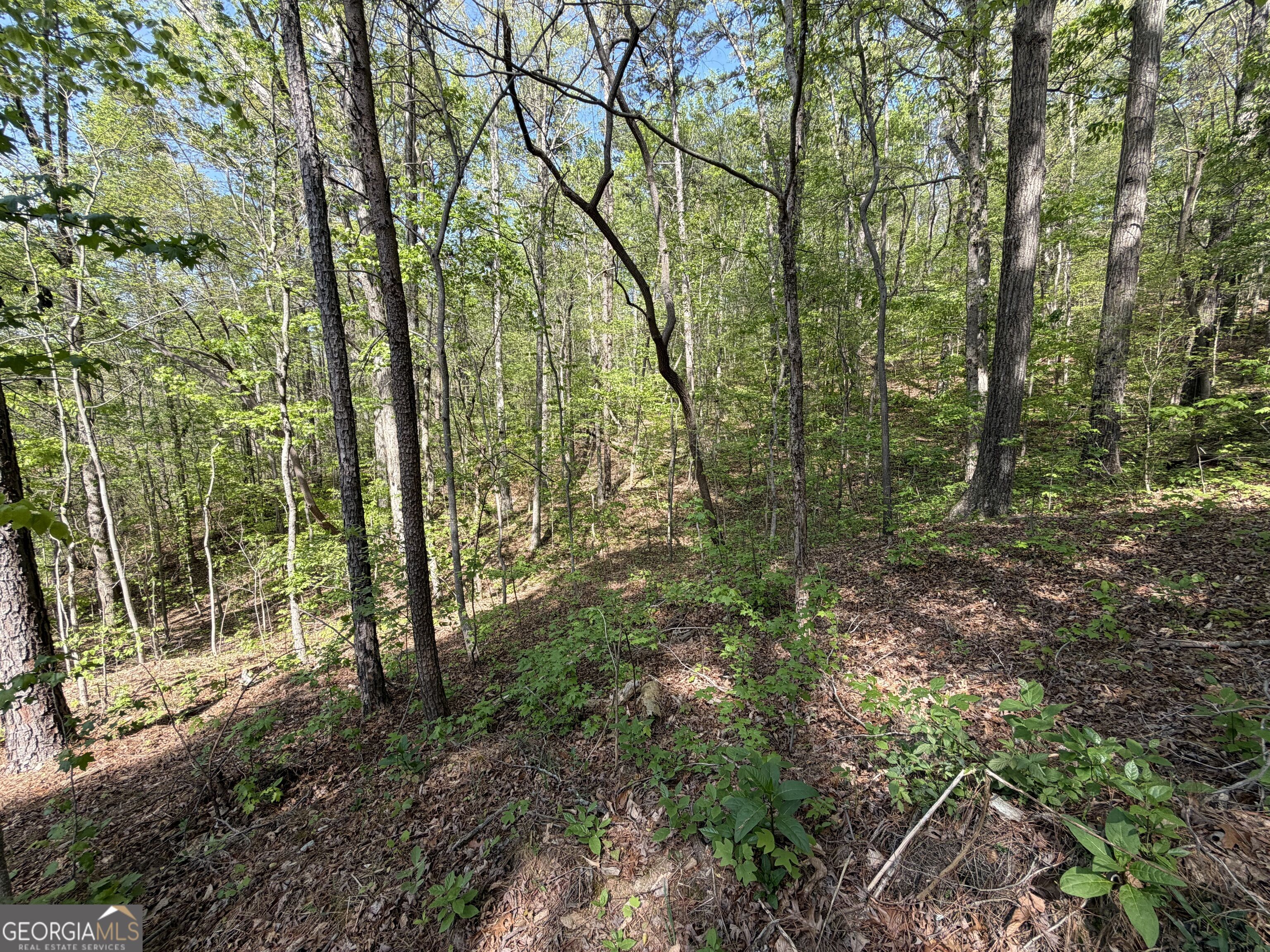 Lot #4 Battle Ridge Drive Property Photo 17