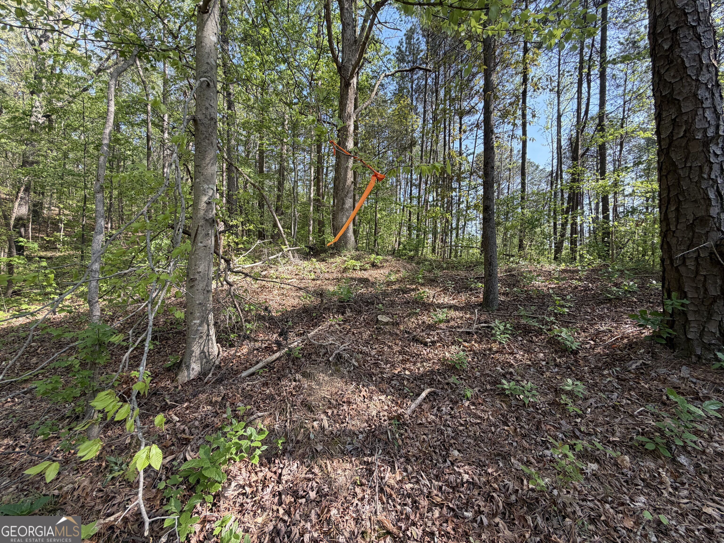 Lot #4 Battle Ridge Drive Property Photo 19