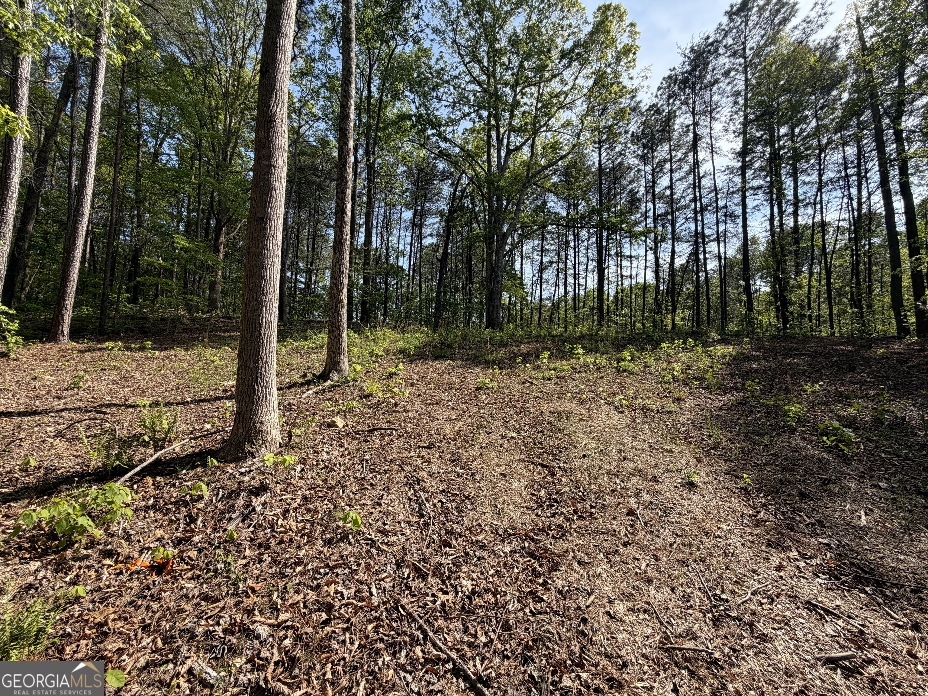 Lot #4 Battle Ridge Drive Property Photo 20