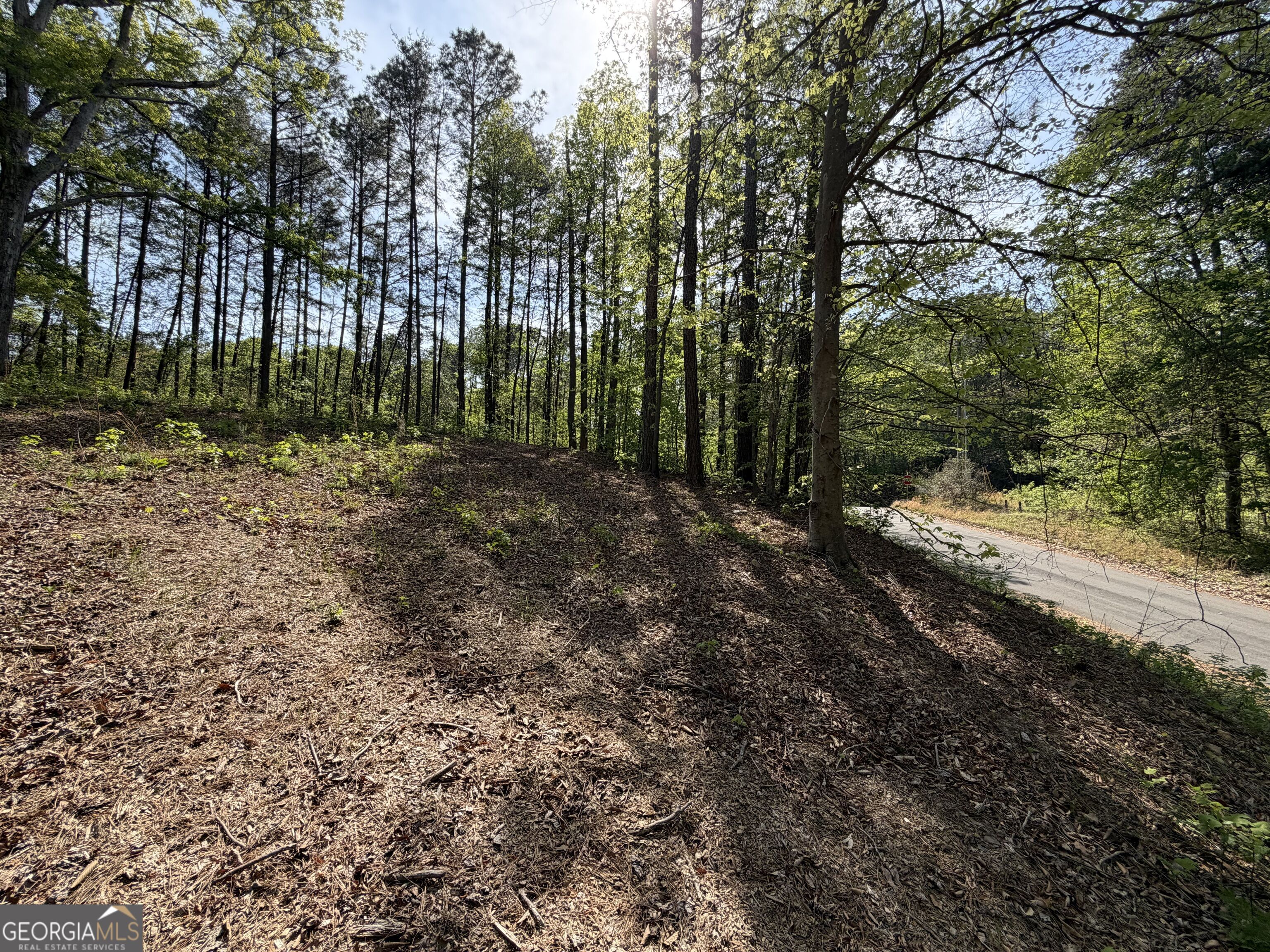 Lot #4 Battle Ridge Drive Property Photo 21