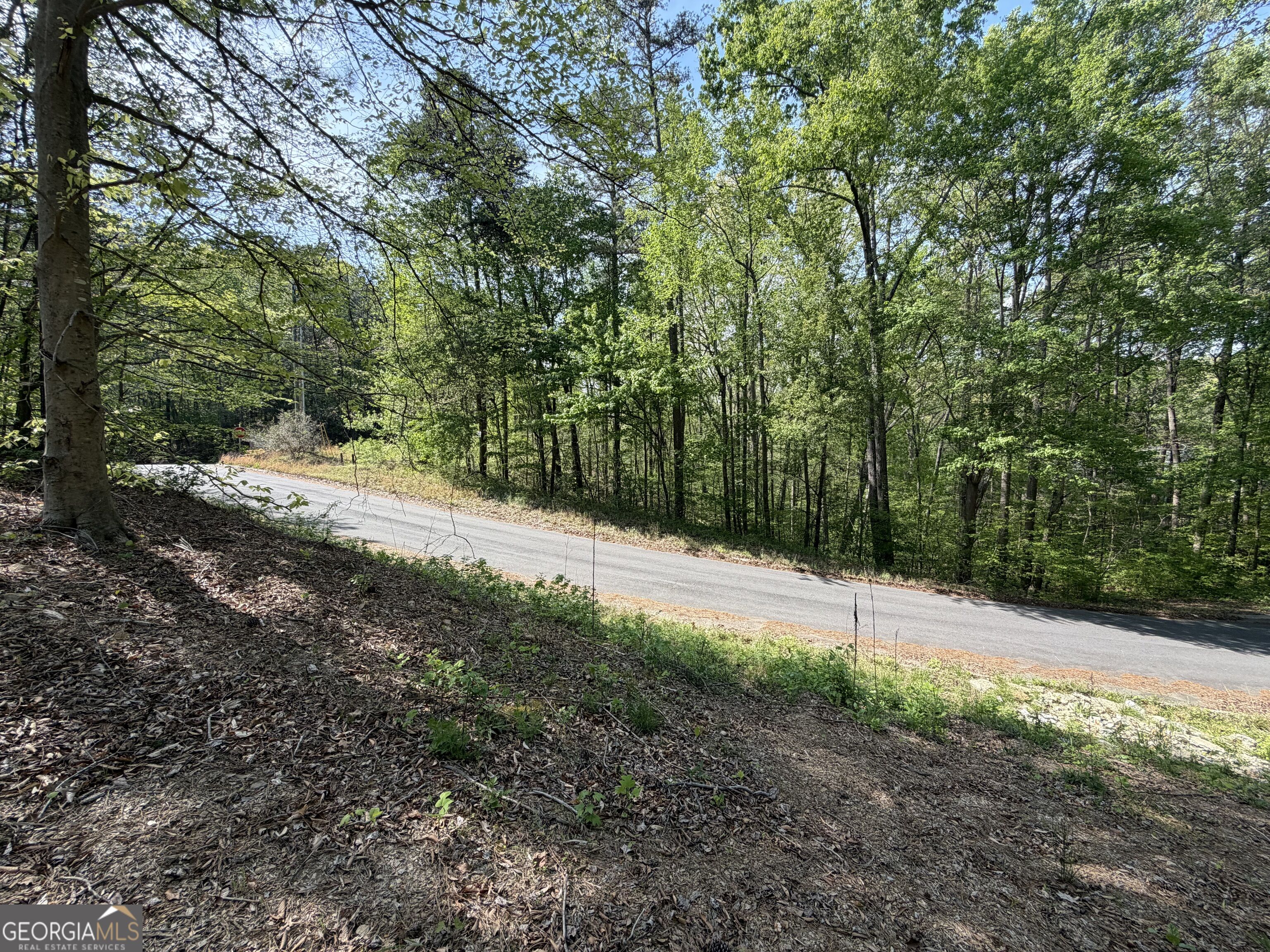 Lot #4 Battle Ridge Drive Property Photo 22