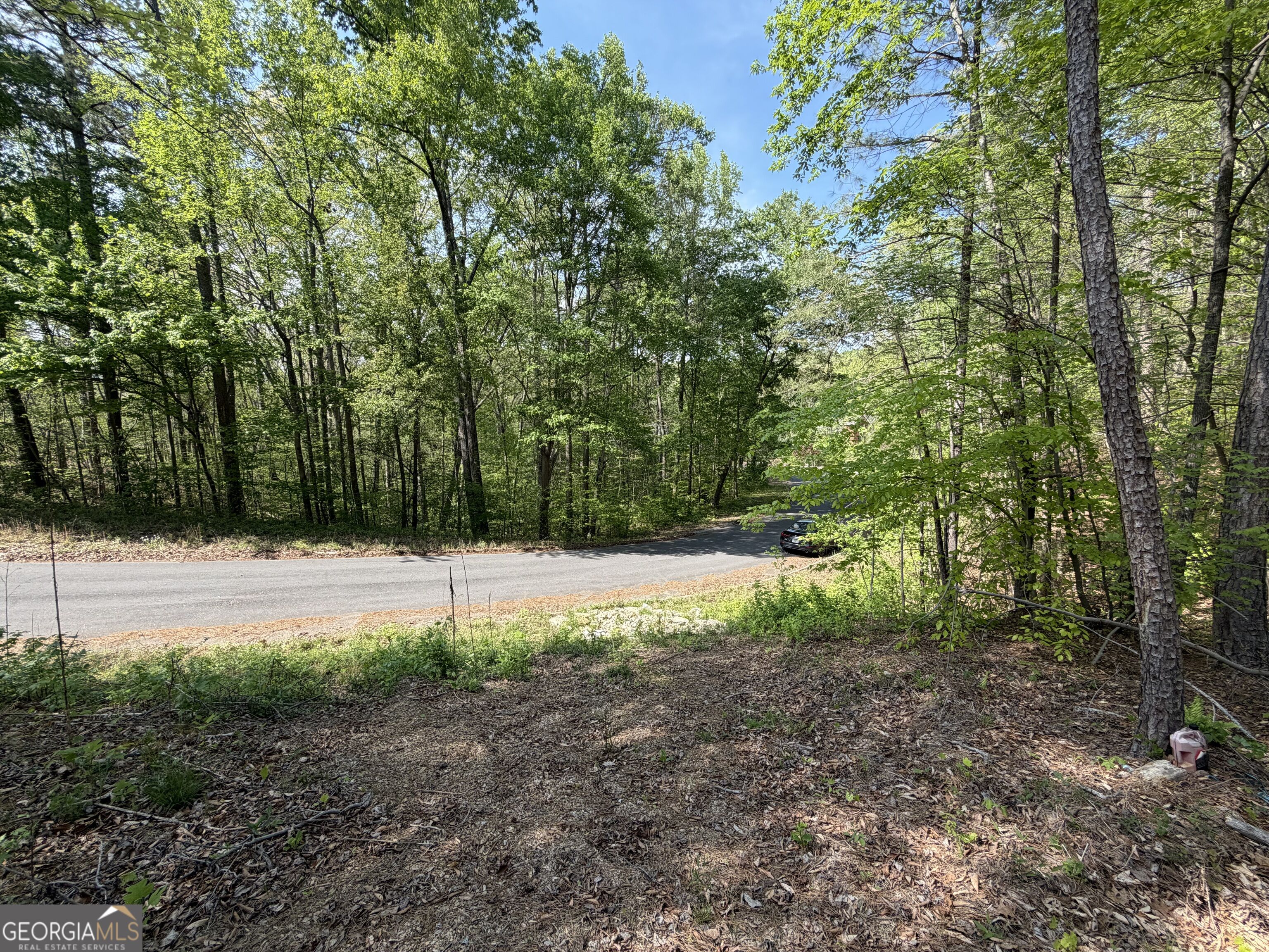 Lot #4 Battle Ridge Drive Property Photo 23