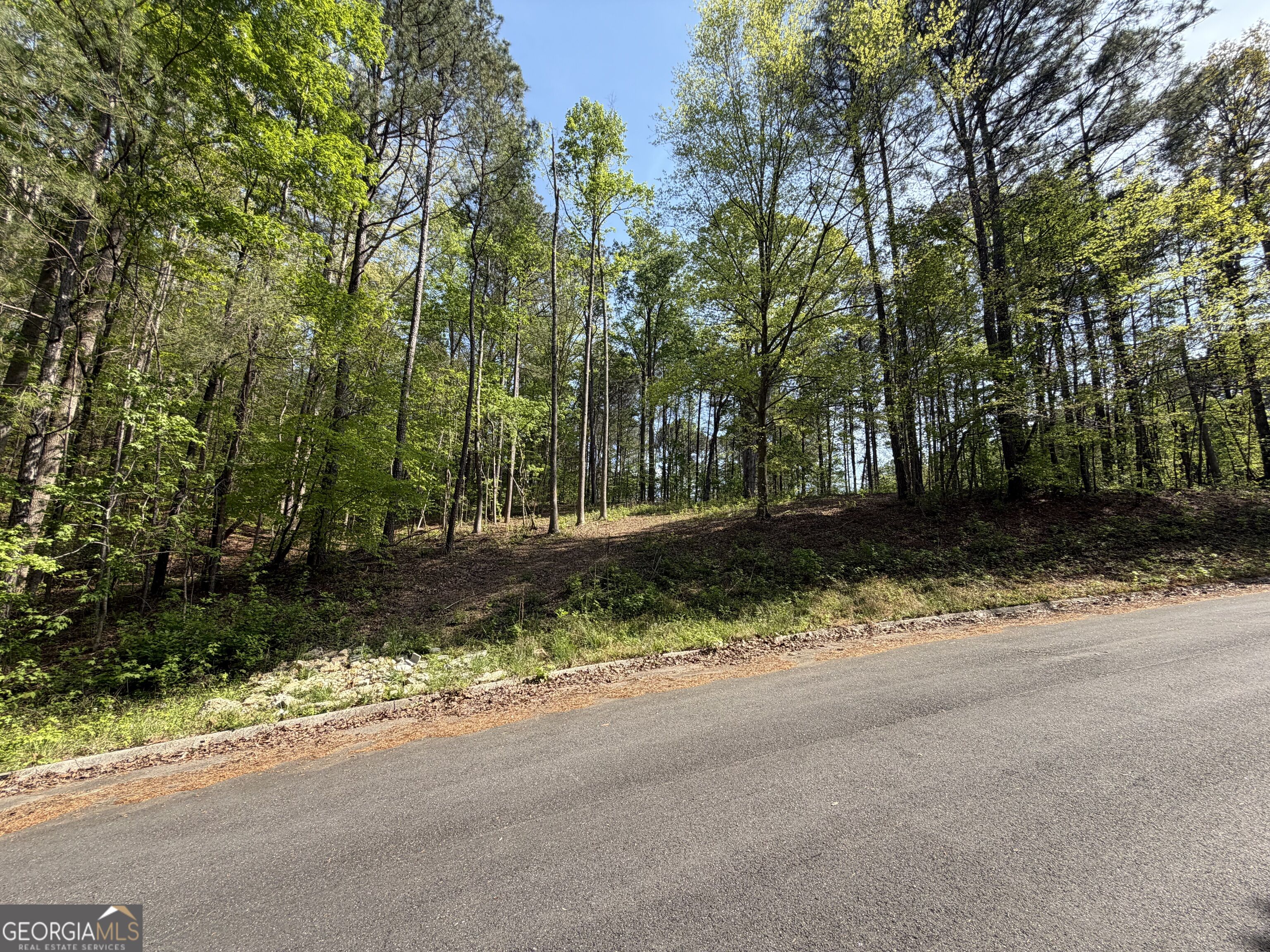 Lot #4 Battle Ridge Drive Property Photo 24