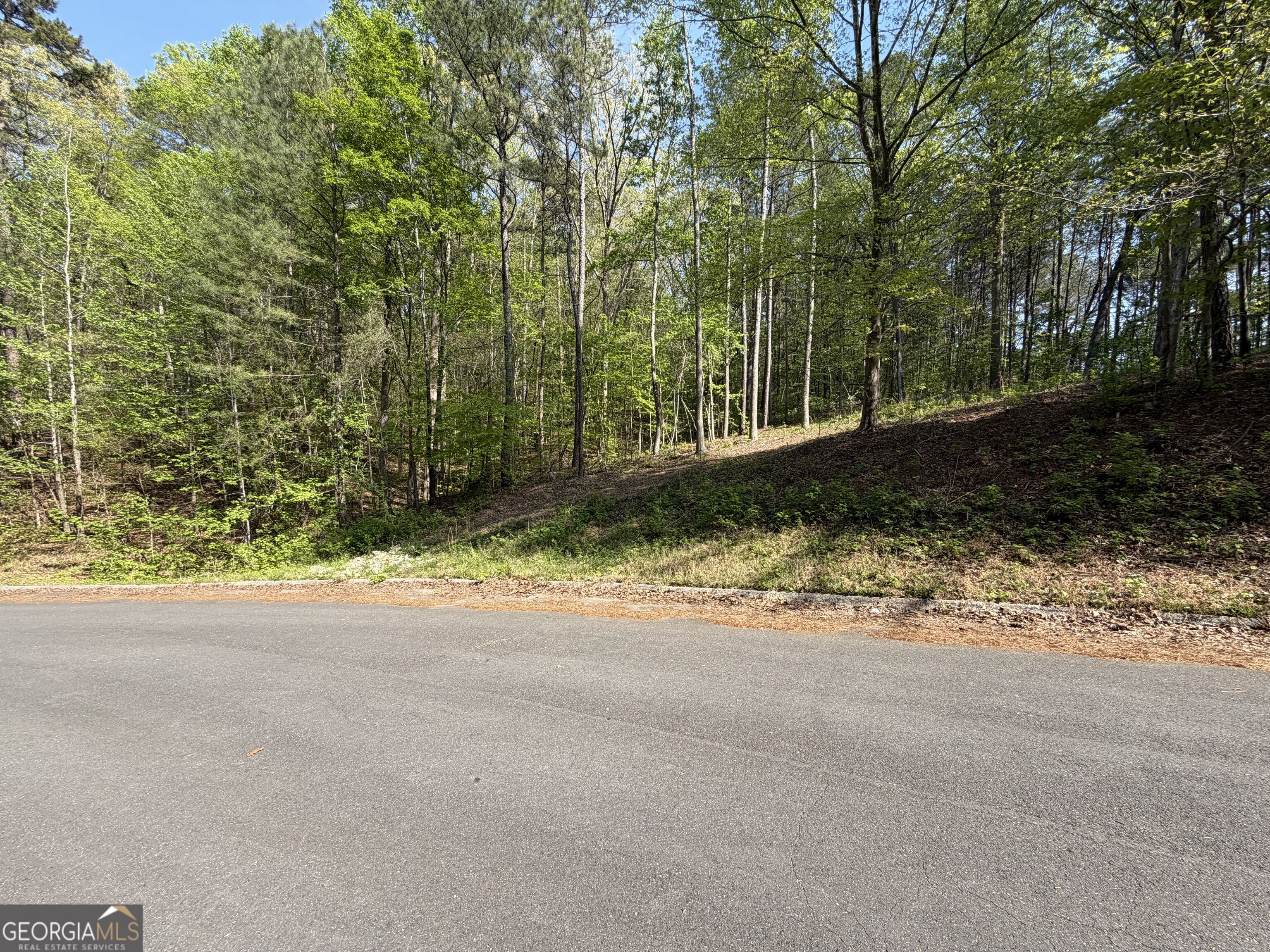 Lot #4 Battle Ridge Drive Property Photo 25