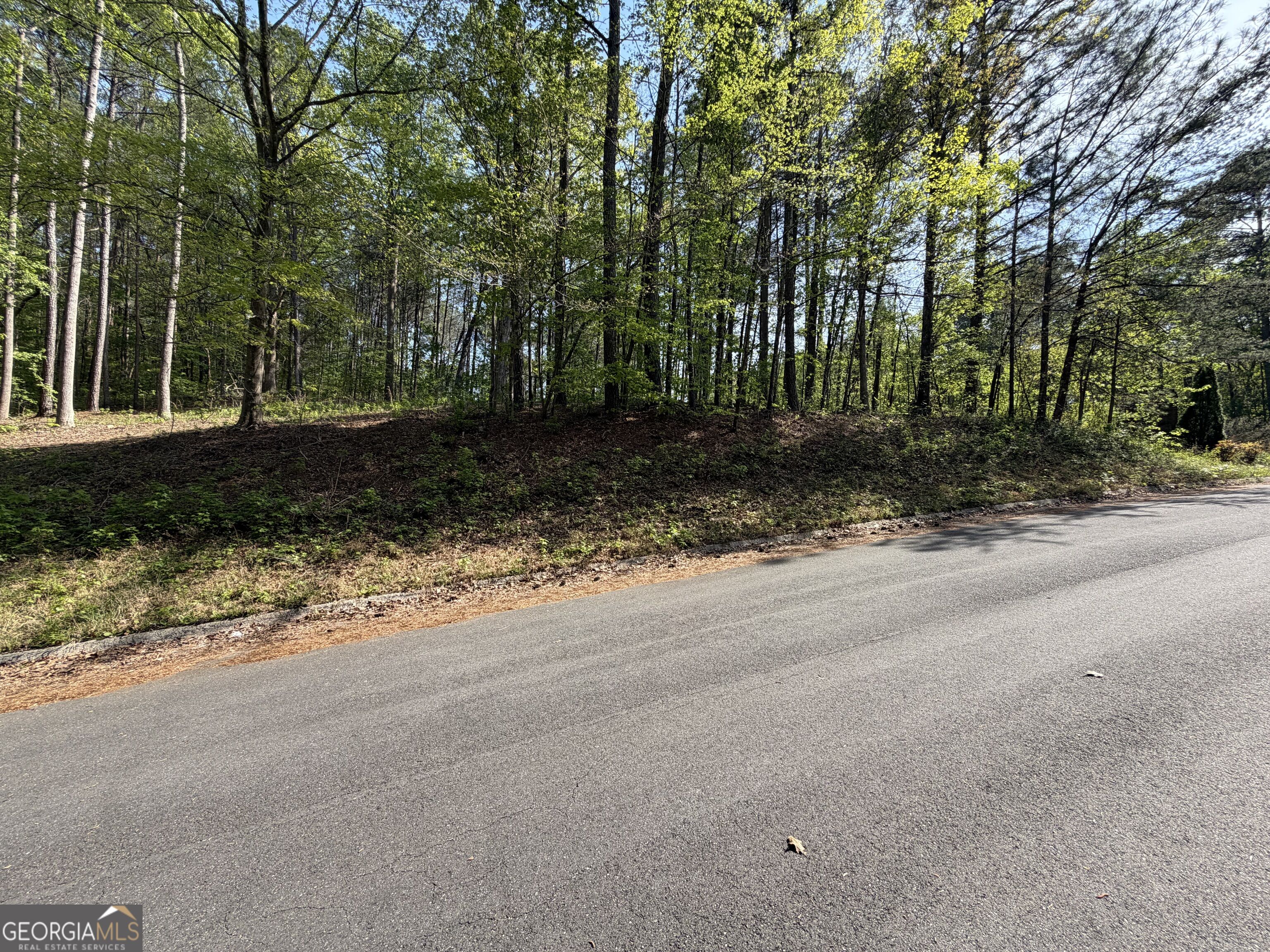 Lot #4 Battle Ridge Drive Property Photo 26