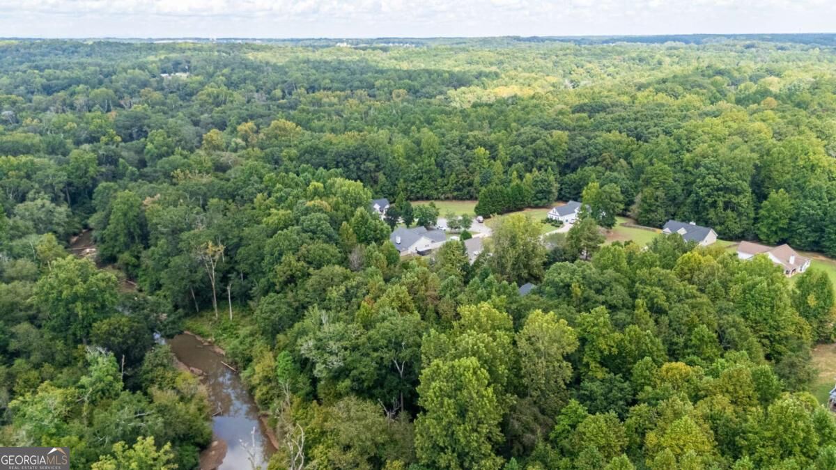 198 Celestial Run Property Photo 41