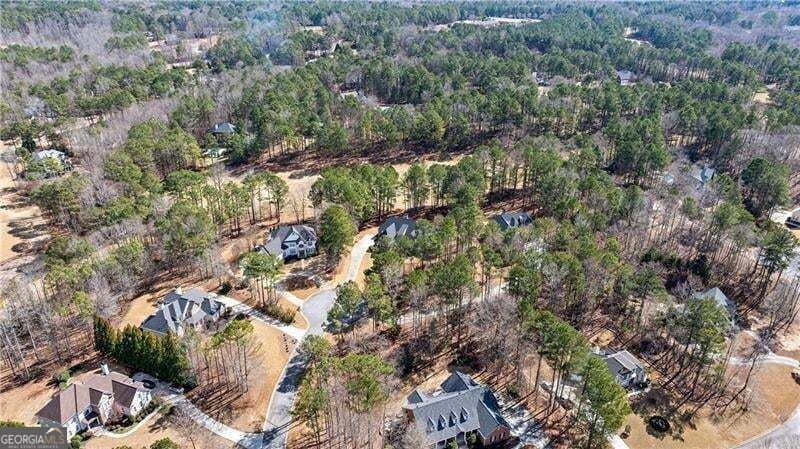 35 Trellis Trace Property Photo 82
