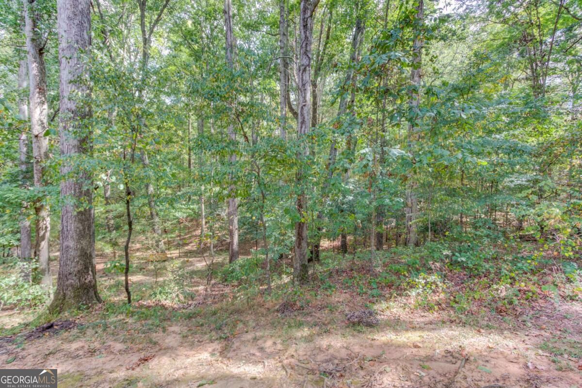 3244 Holly Stand Court Property Photo 36