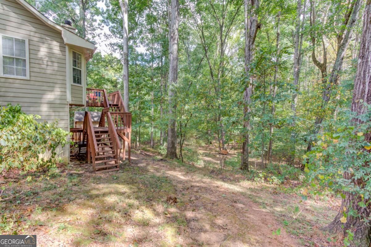 3244 Holly Stand Court Property Photo 37
