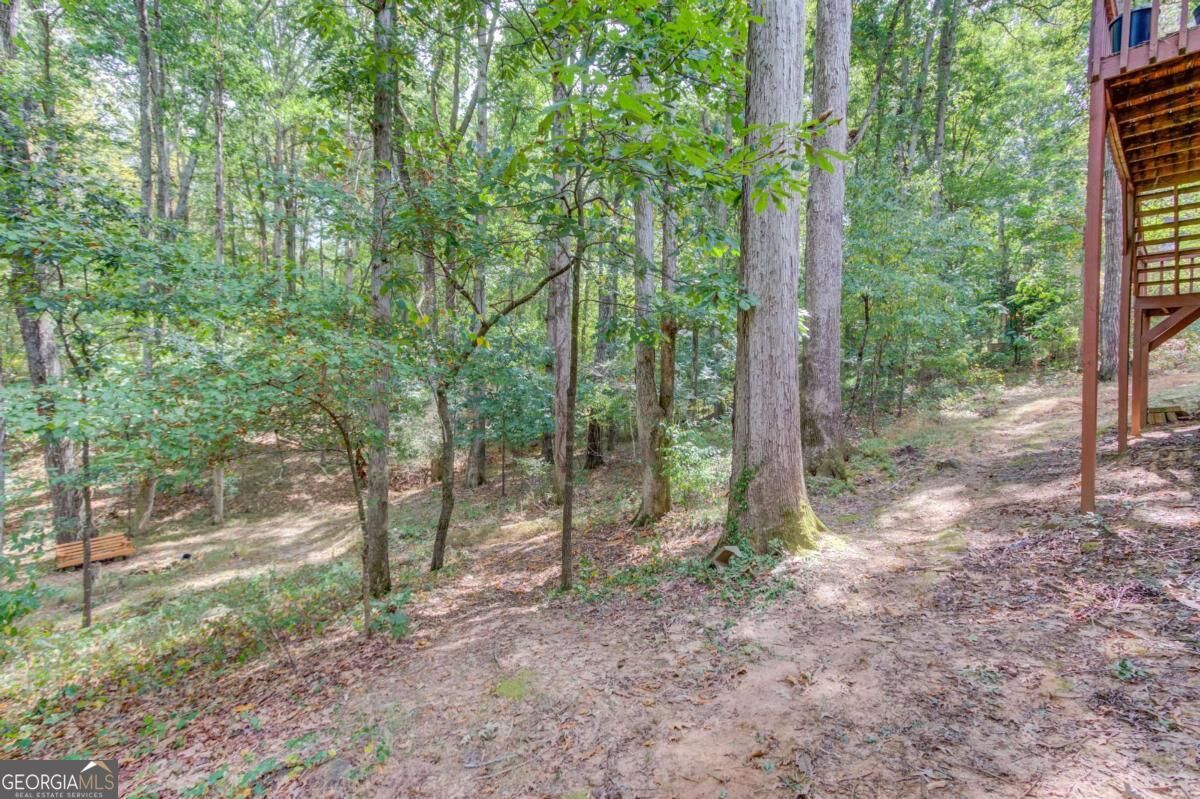 3244 Holly Stand Court Property Photo 39