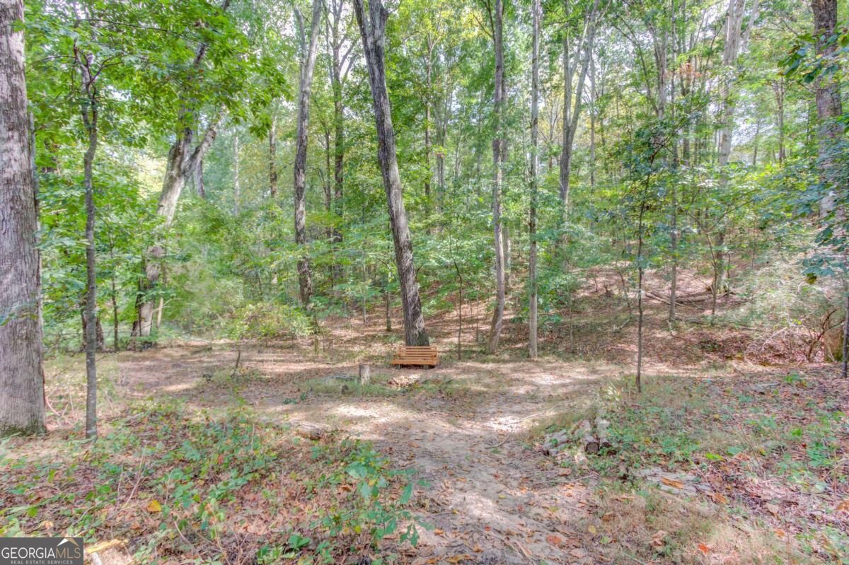 3244 Holly Stand Court Property Photo 40