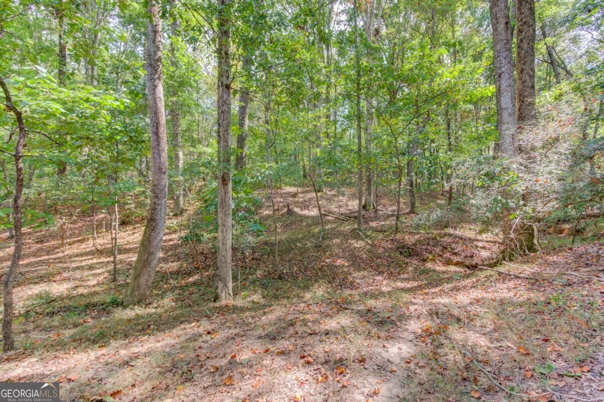 3244 Holly Stand Court Property Photo 41