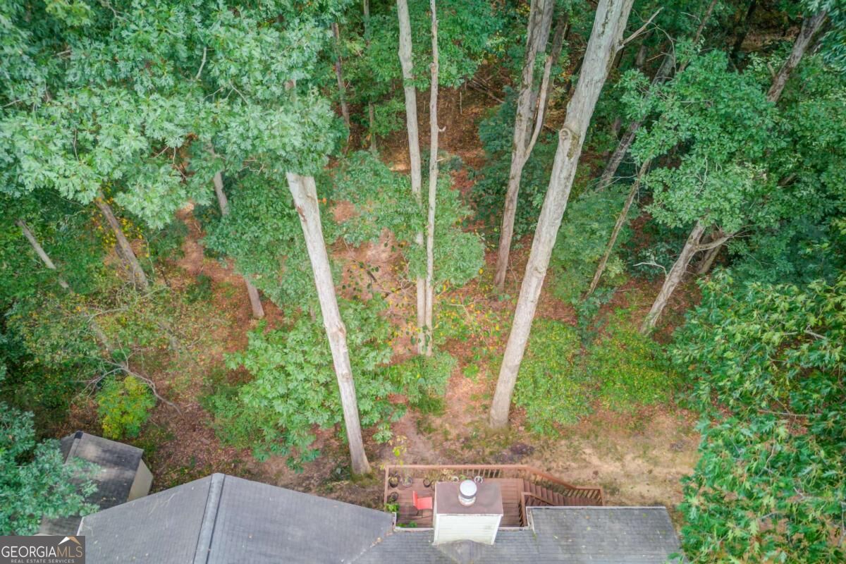 3244 Holly Stand Court Property Photo 43