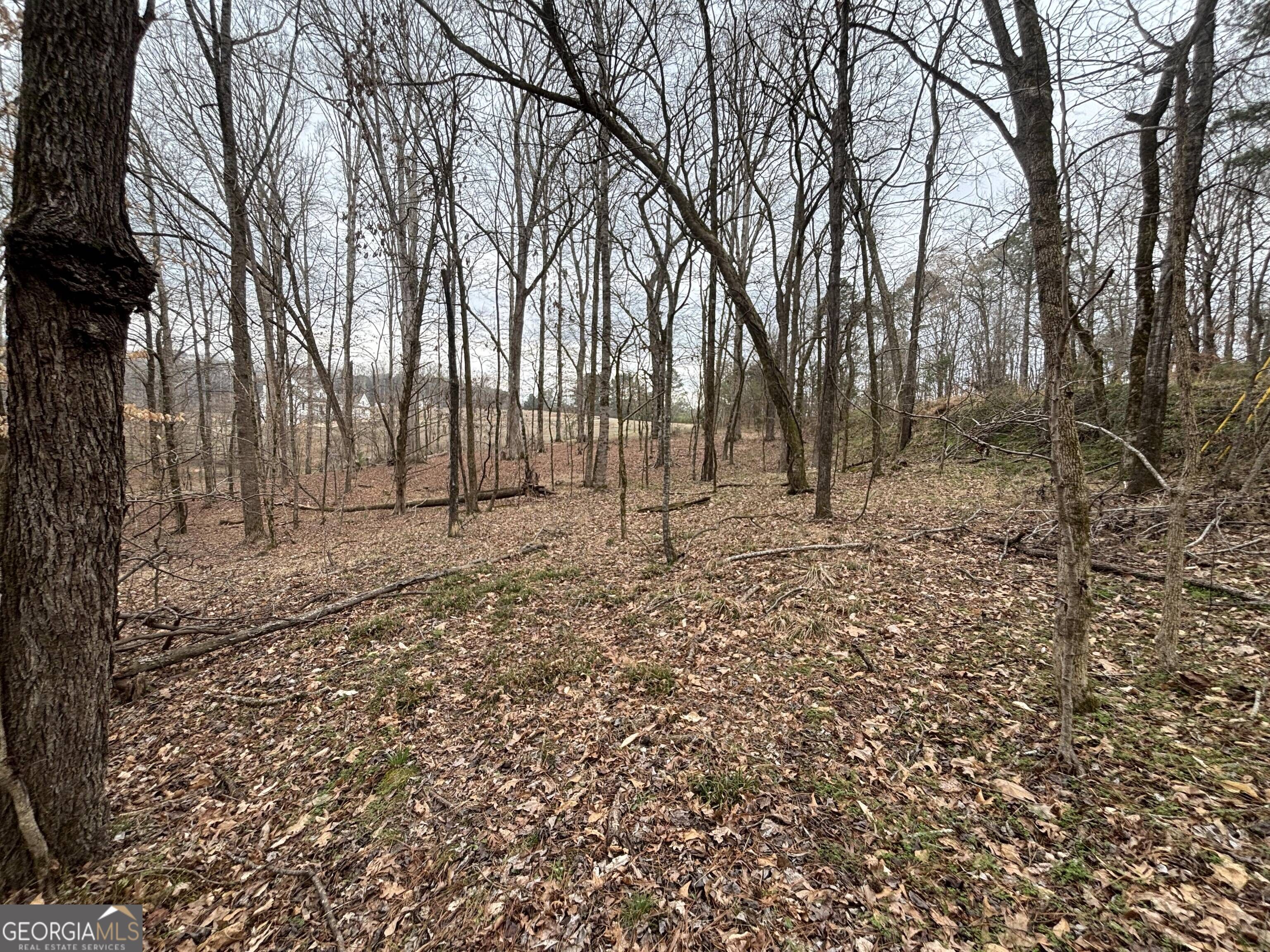 0 Oconee Rd Lot 1 Property Photo 1