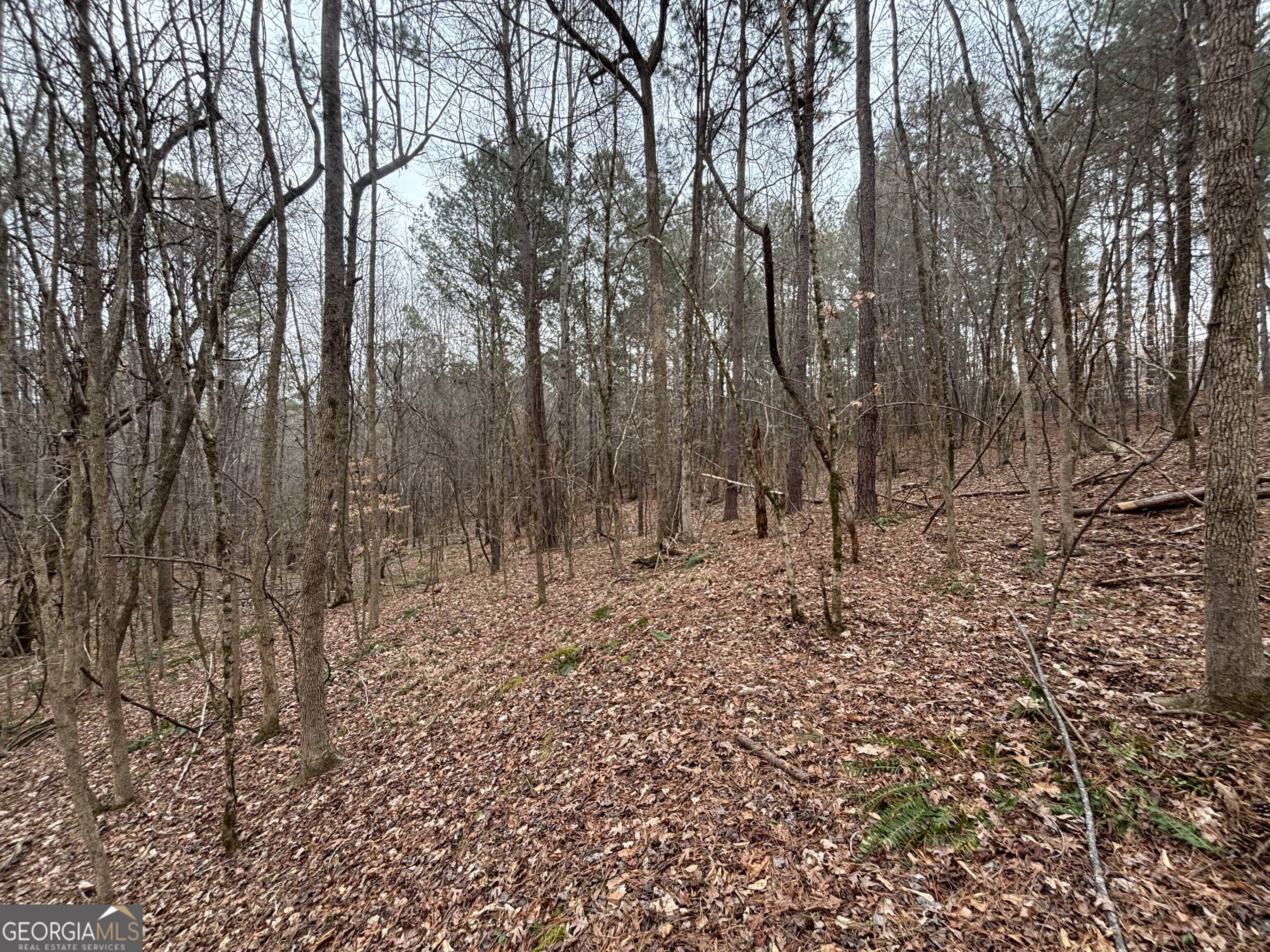 0 Oconee Road Lot 3 Property Photo 2