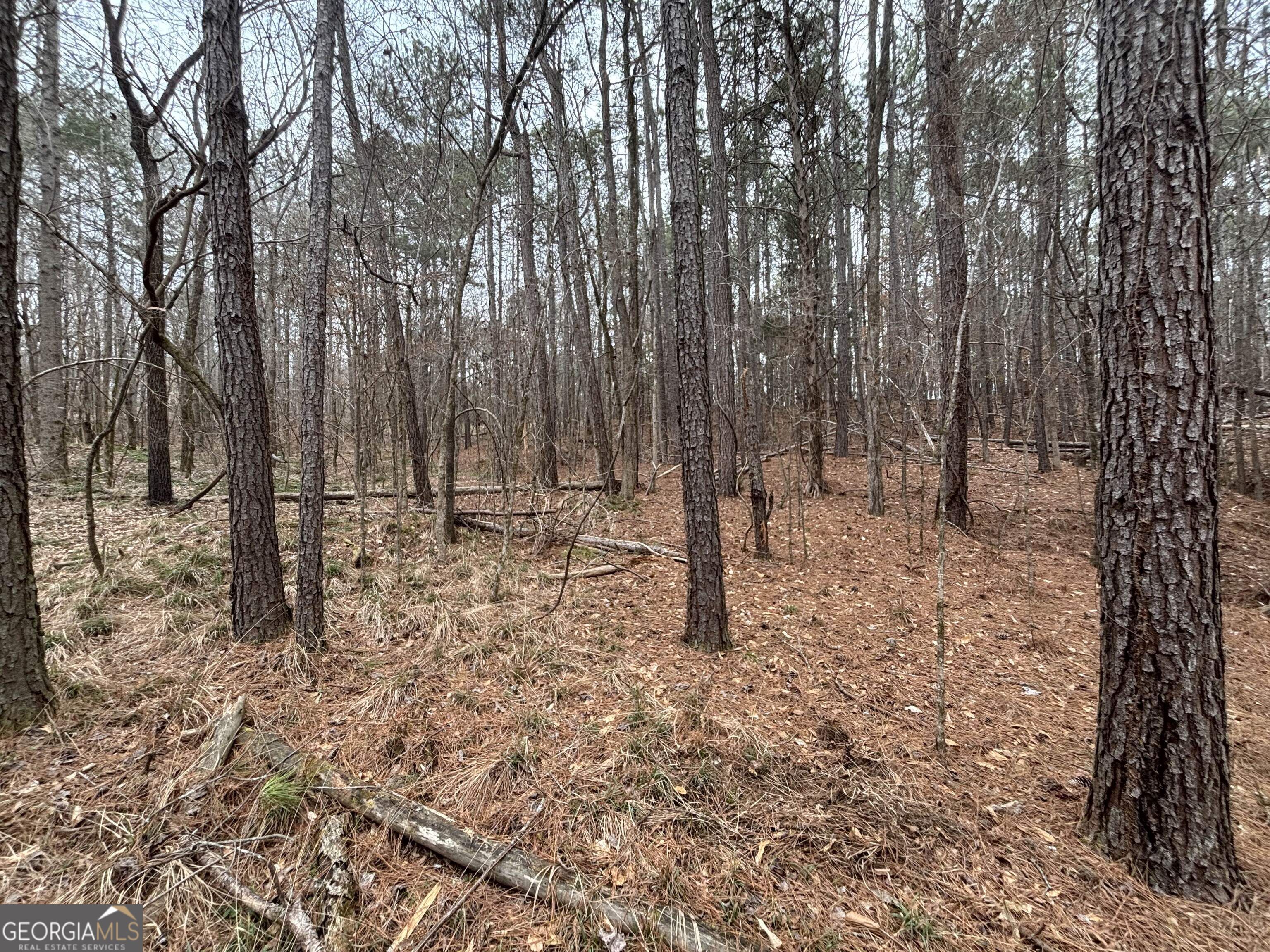 0 Oconee Road Lot 3 Property Photo 3