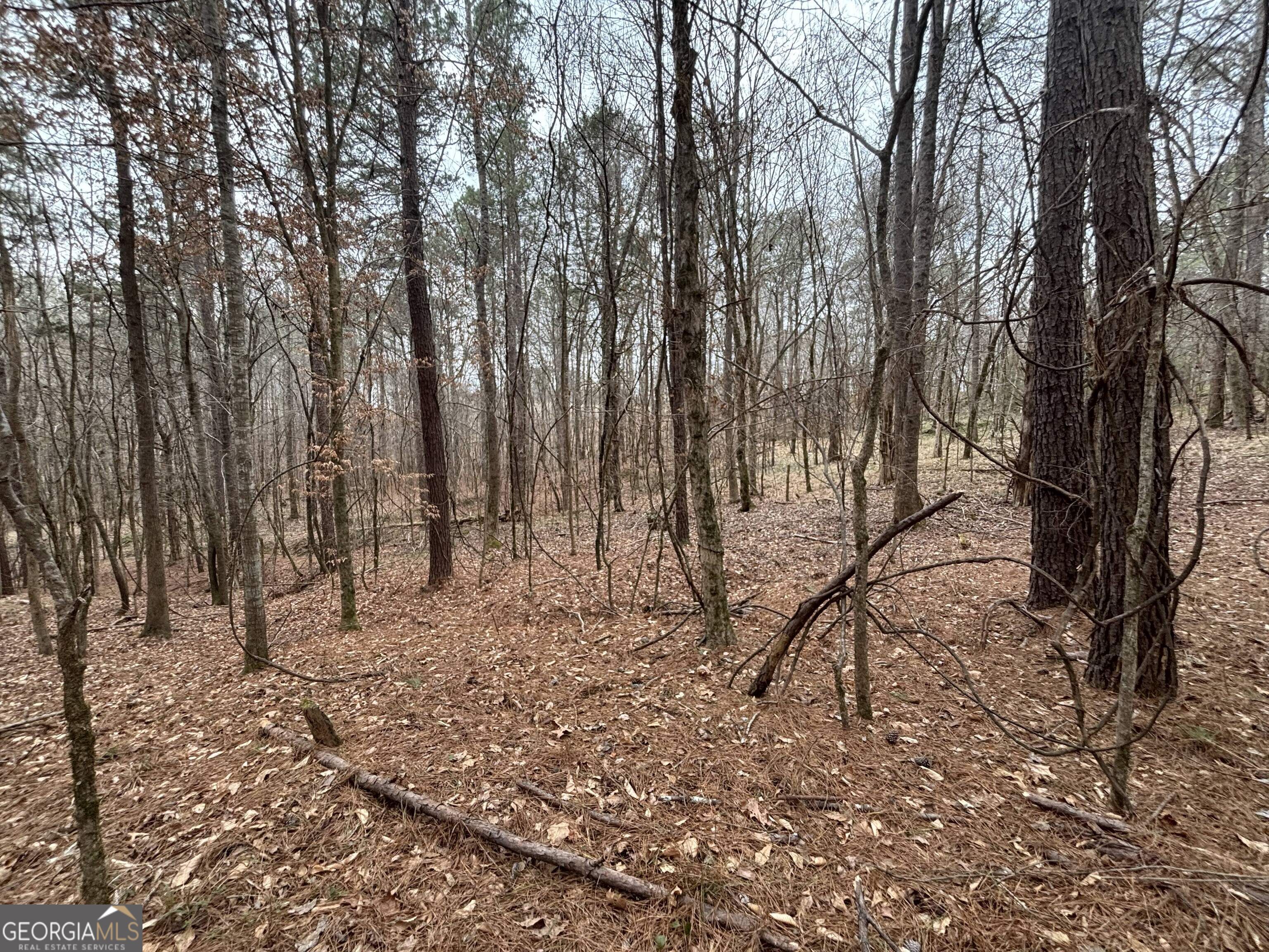 0 Oconee Road Lot 3 Property Photo 4
