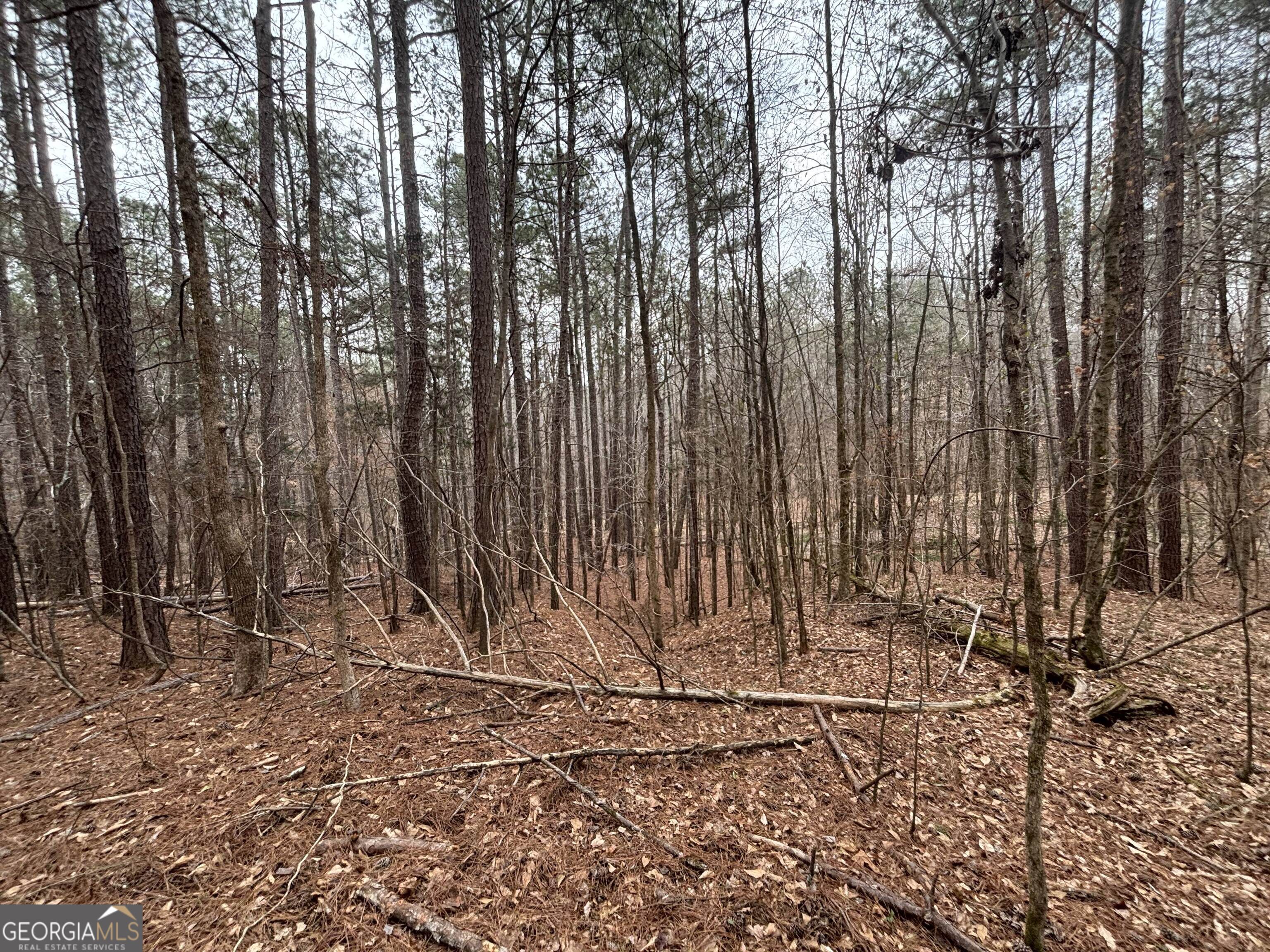0 Oconee Road Lot 3 Property Photo 5