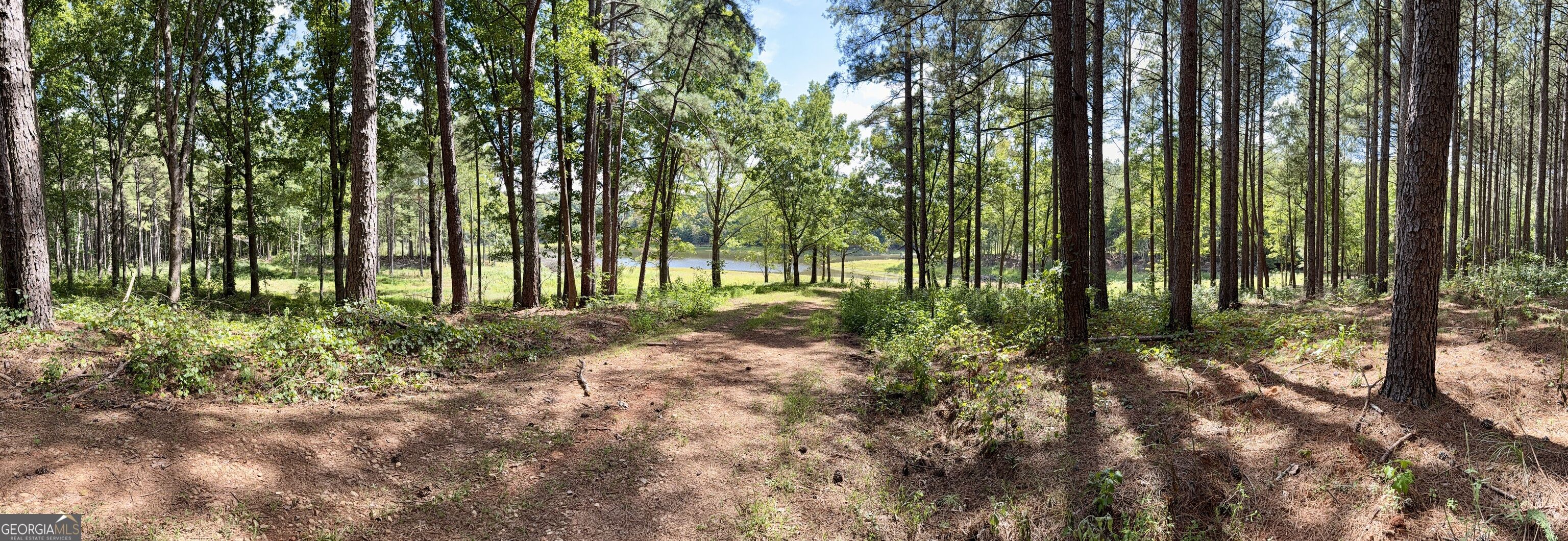 1102 Mitchell Road Property Photo 2