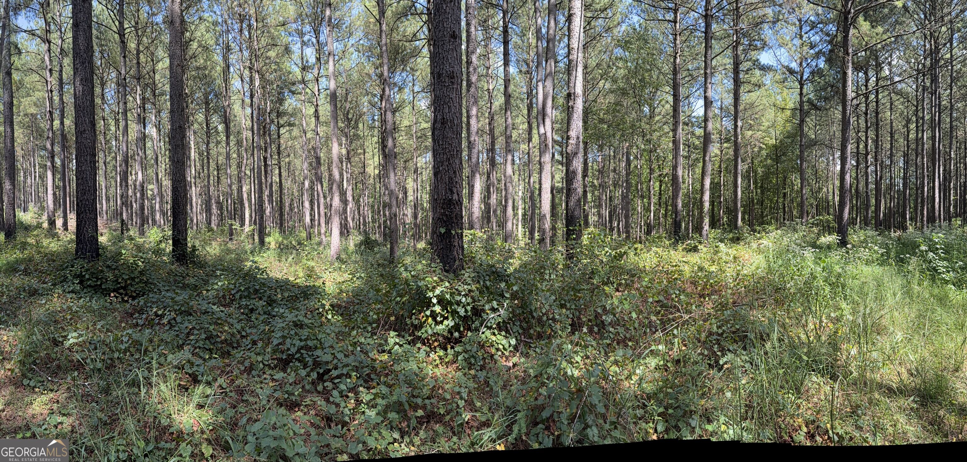 1102 Mitchell Road Property Photo 8